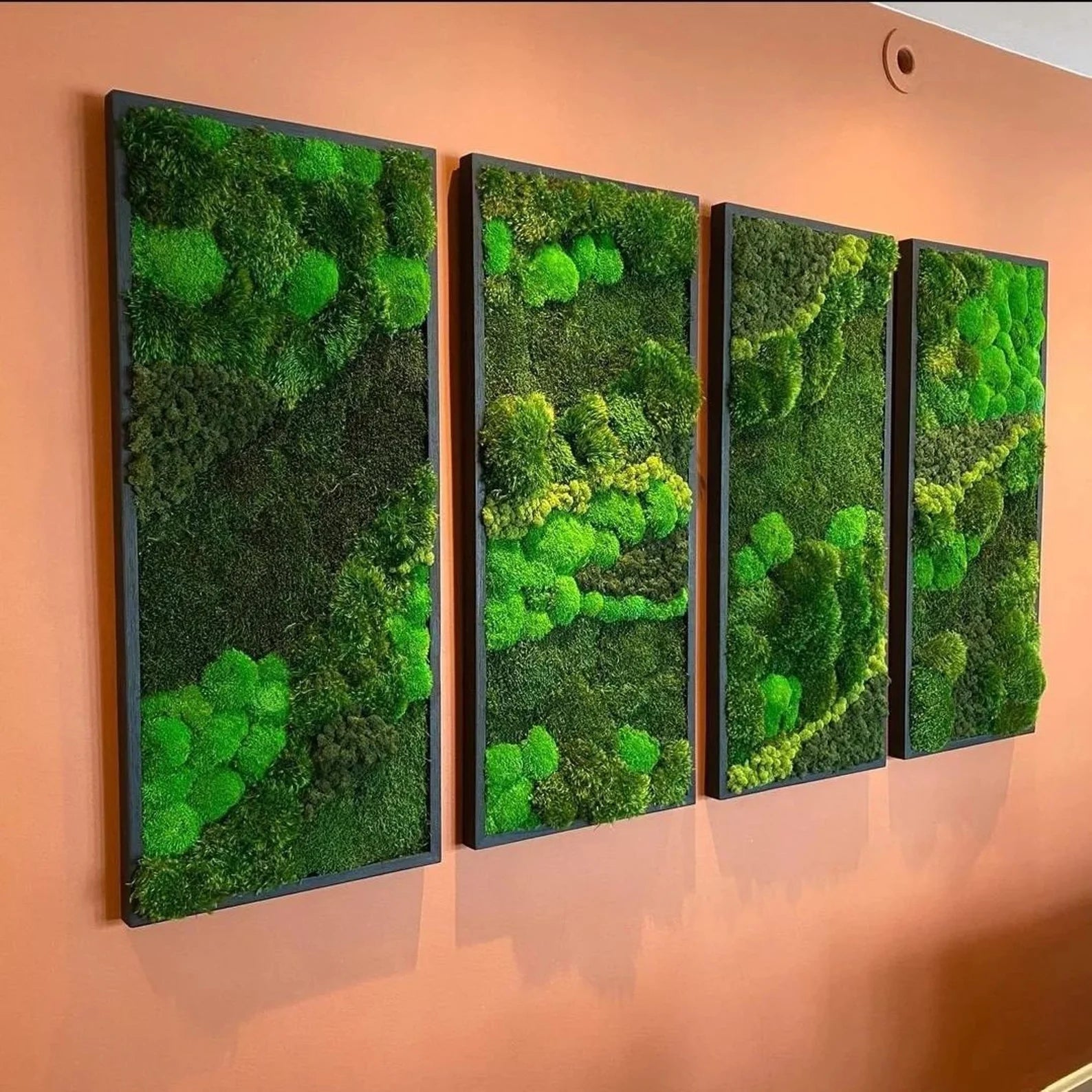 Natural Moss Wall Hanging – Large Real Moss Art for Home, Office & Entryway, No-Maintenance Green Décor