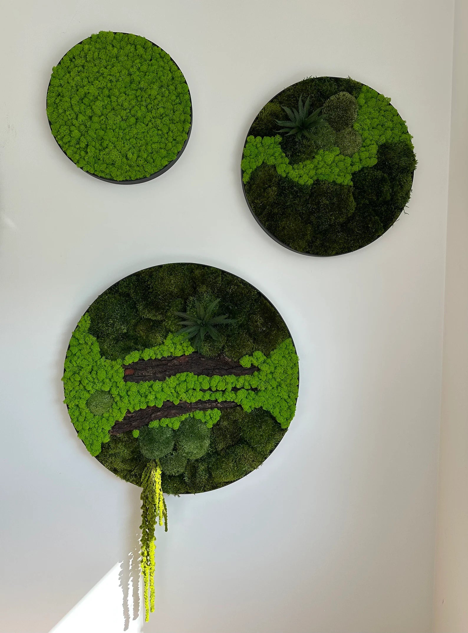 Set of 4 Moss Pictures – Preserved Moss Wall Art | Green Moss Frames for Modern Home & Office Decor