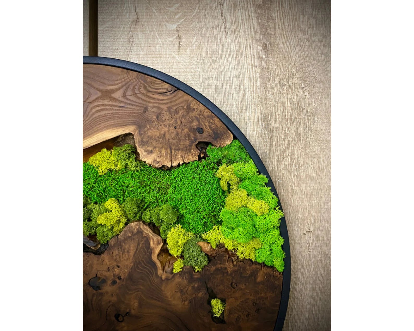 Olive Wood & Preserved Moss Art: Unique Wall Hanging Decor