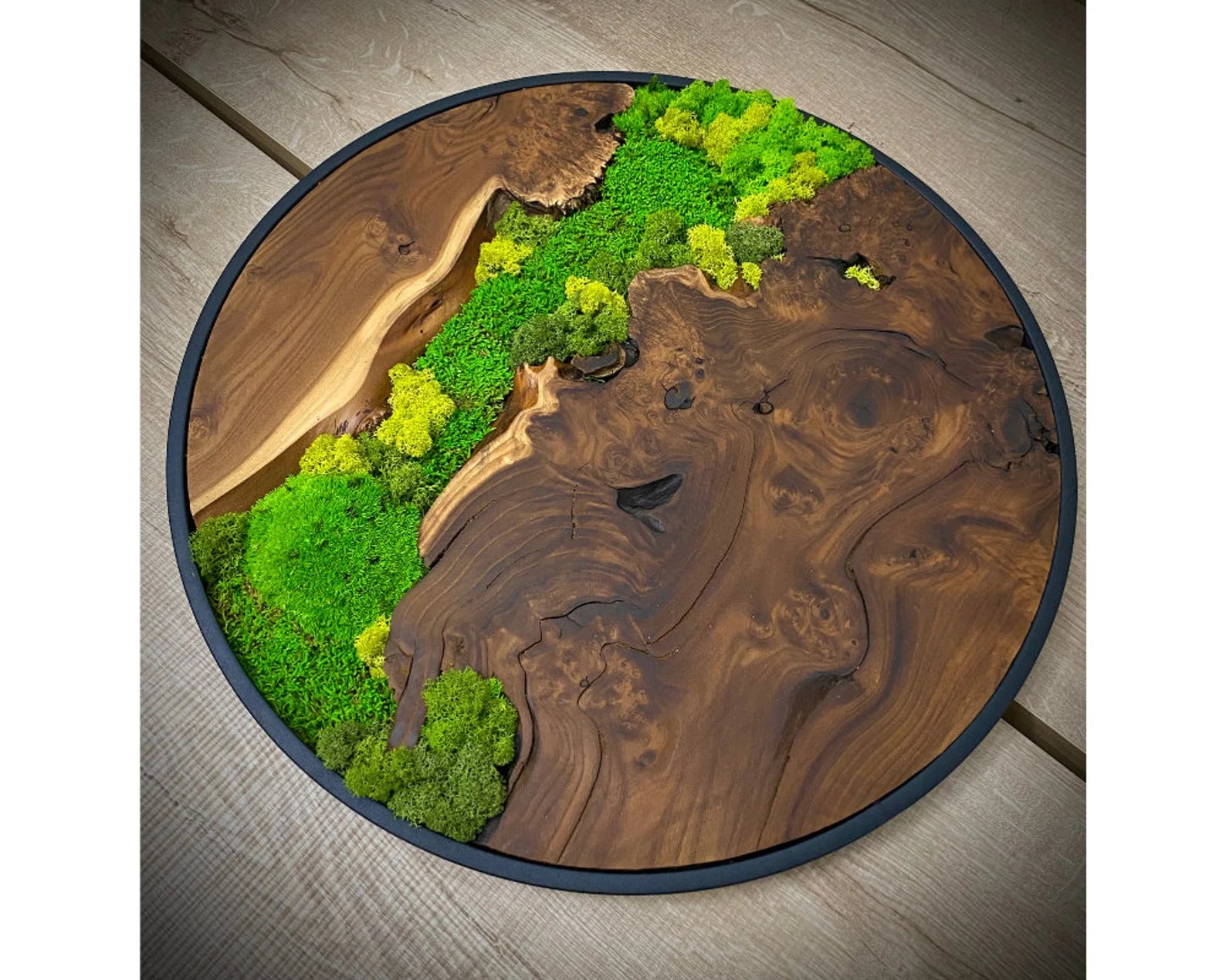 Olive Wood & Preserved Moss Art: Unique Wall Hanging Decor
