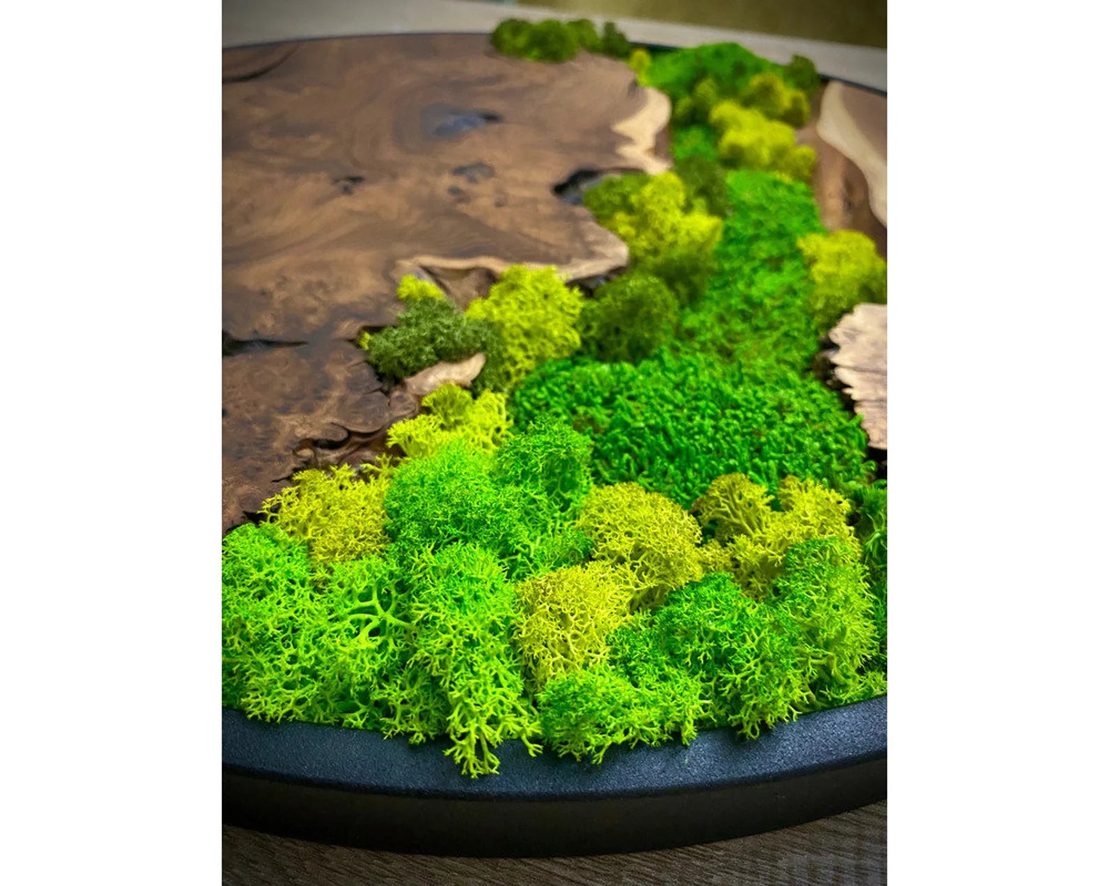 Olive Wood & Preserved Moss Art: Unique Wall Hanging Decor