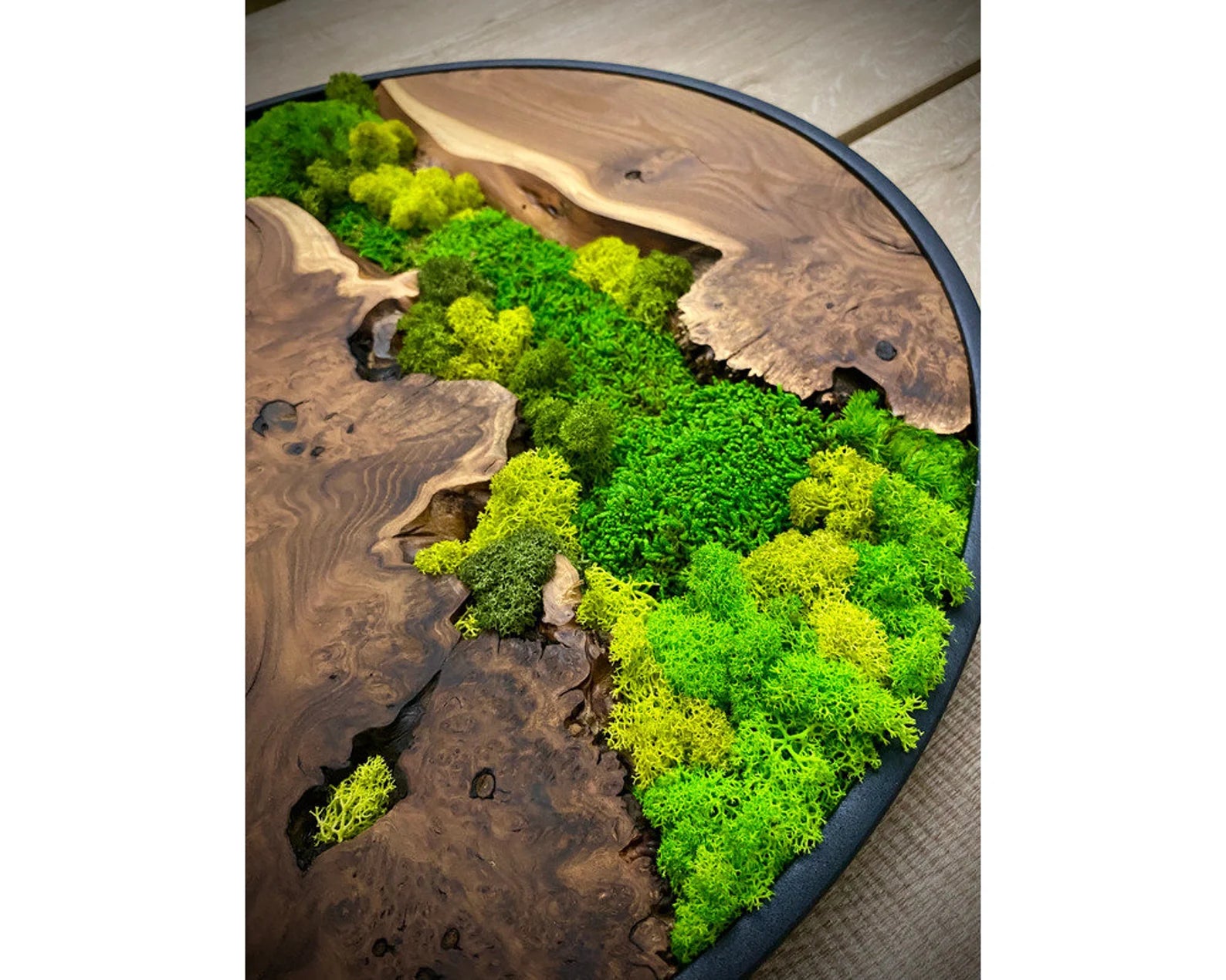 Olive Wood & Preserved Moss Art: Unique Wall Hanging Decor