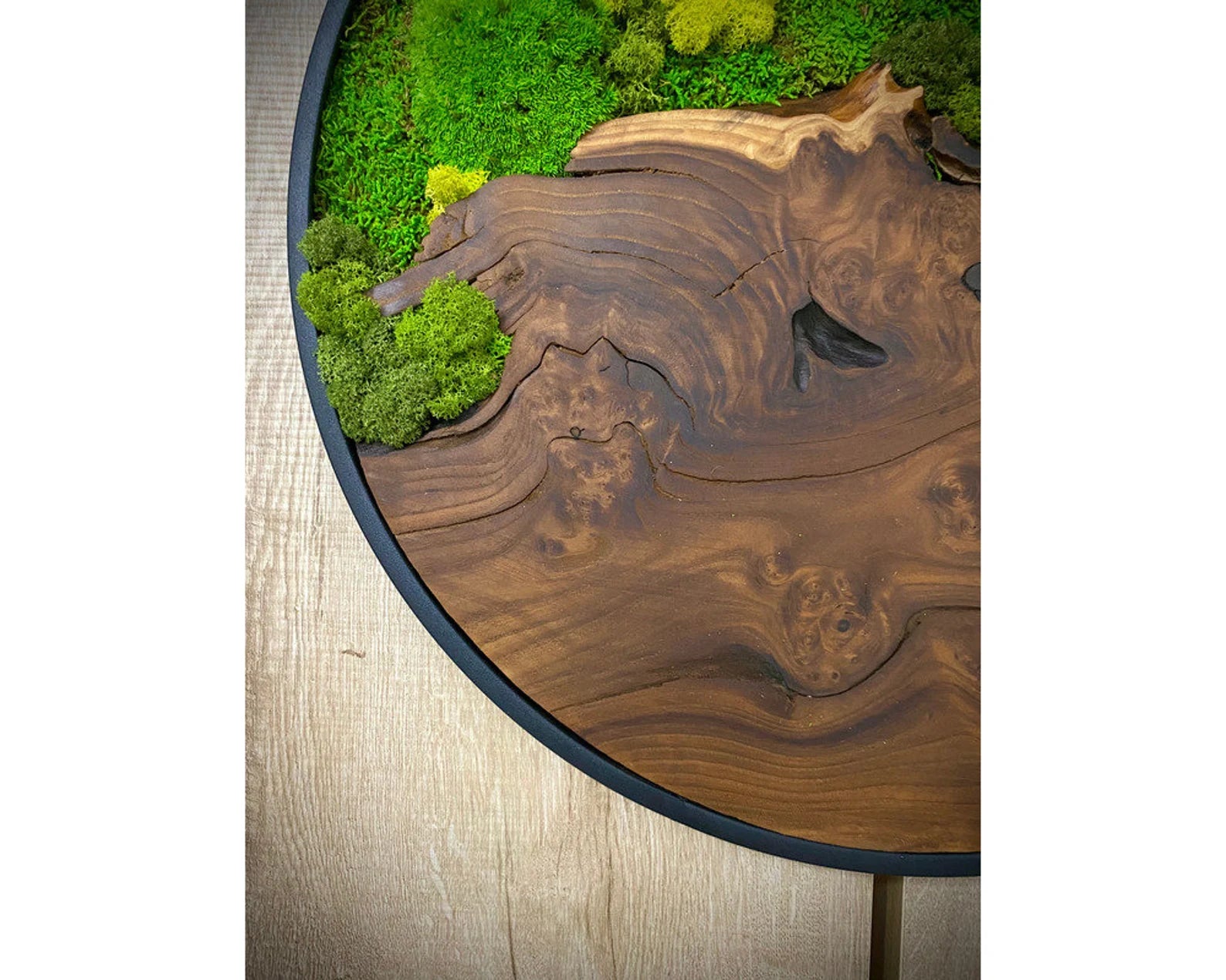 Olive Wood & Preserved Moss Art: Unique Wall Hanging Decor