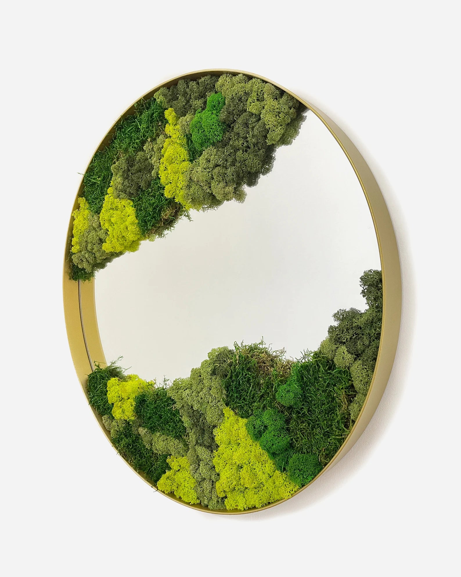 Moss Wall Art Mirror – Metal Frame Circle Mirror with Preserved Moss & Lichen, Botanical Home Decor