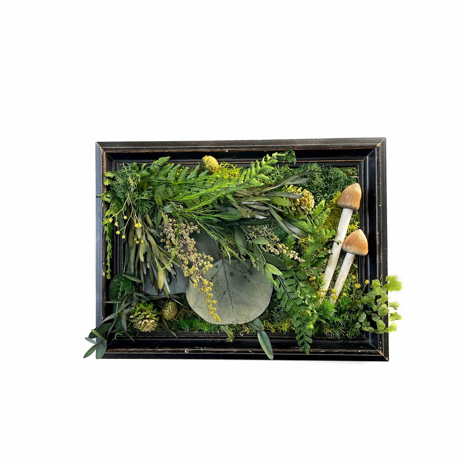 Repurposed Vintage Frame | Moss and Mushroom Wall Art