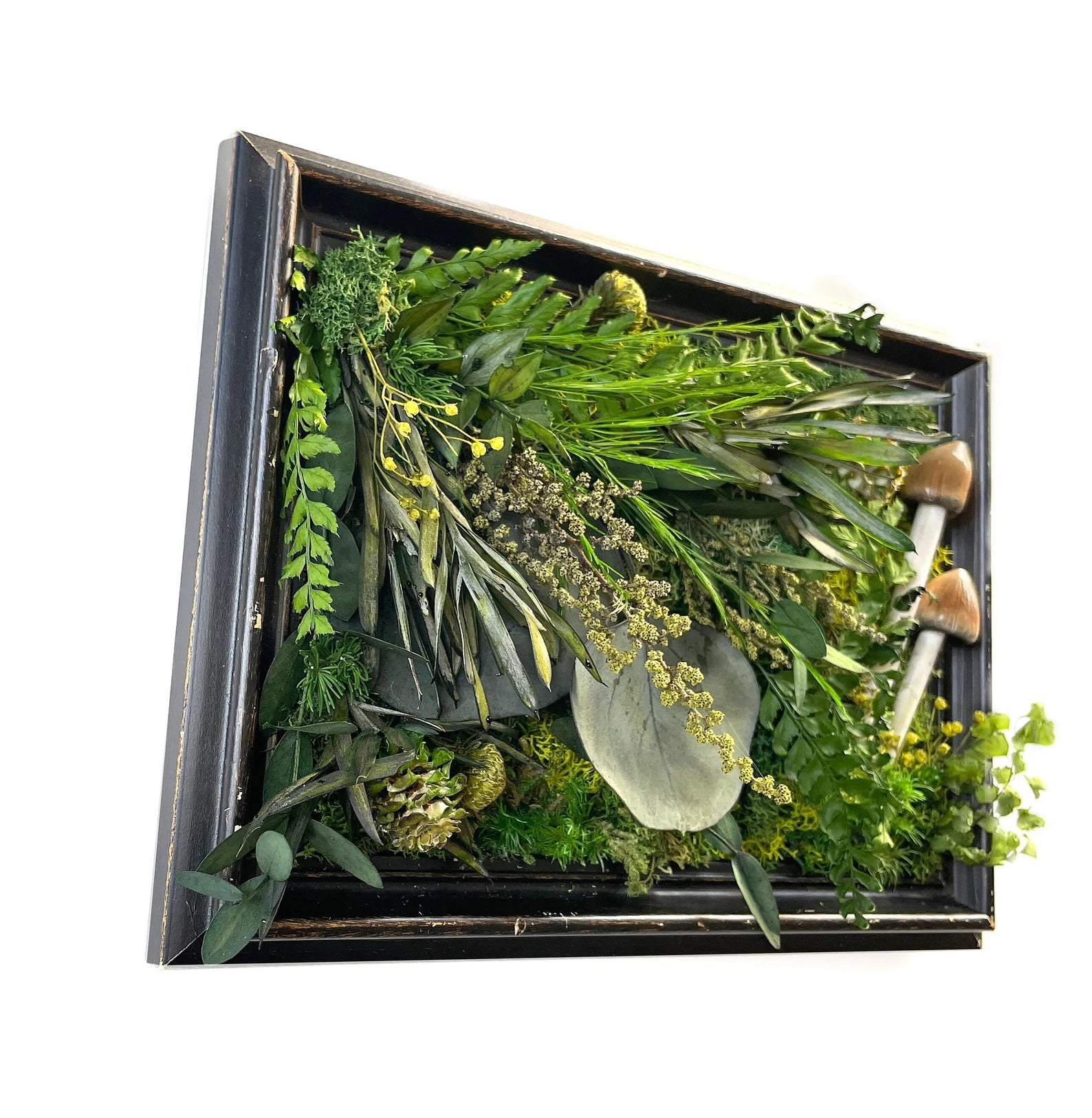 Repurposed Vintage Frame | Moss and Mushroom Wall Art