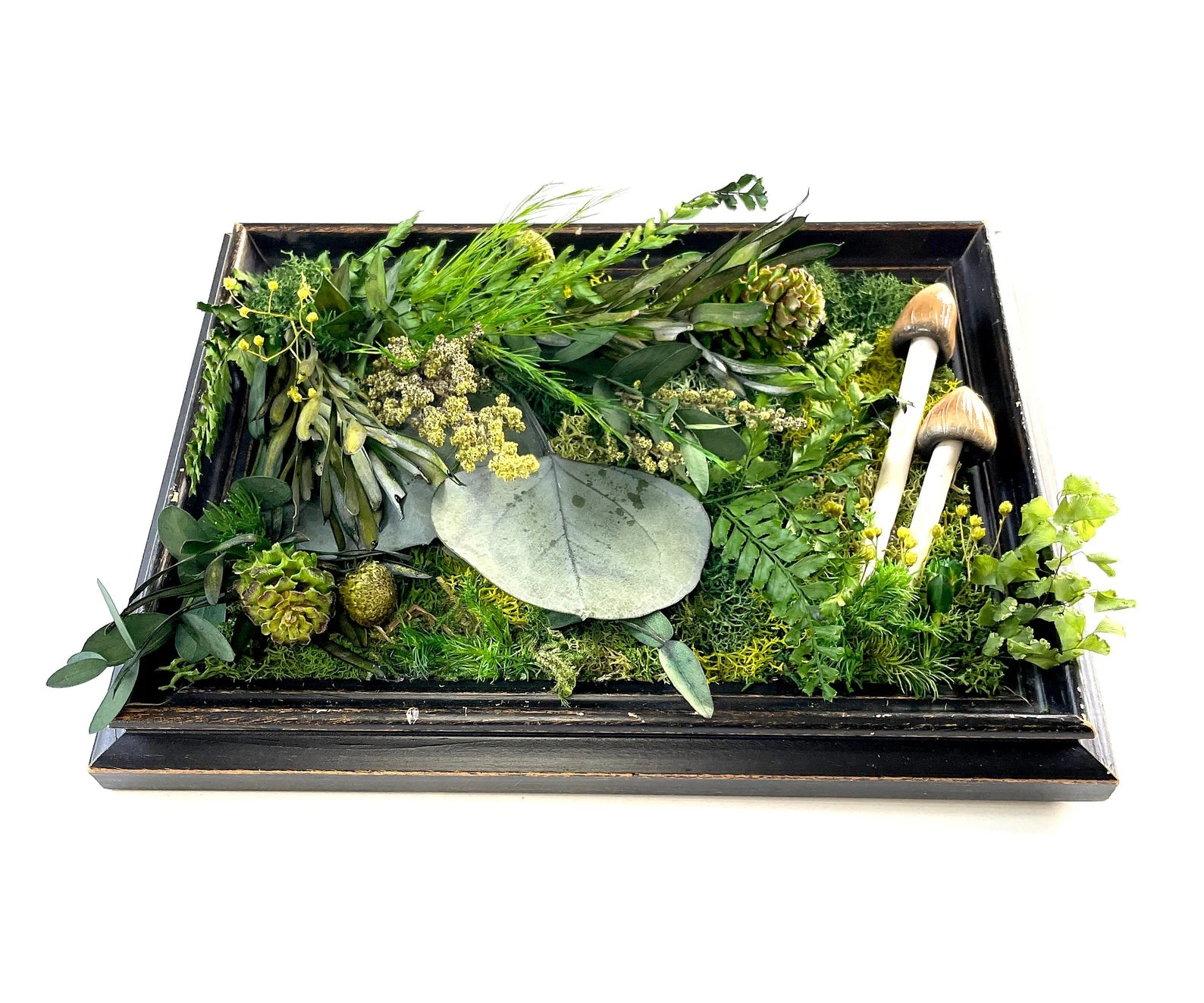 Repurposed Vintage Frame | Moss and Mushroom Wall Art