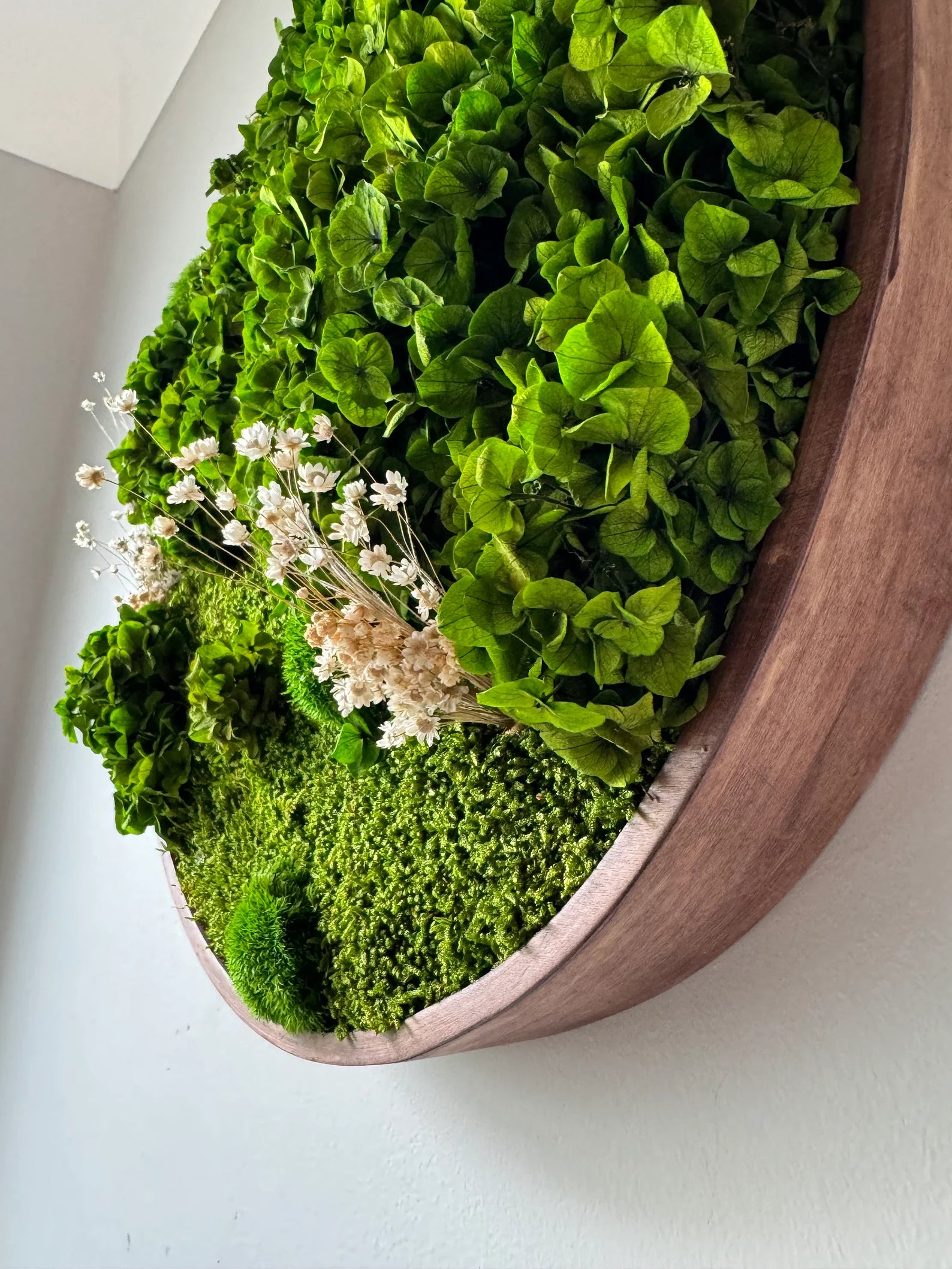 Round Moss Wall Art – Preserved Green Moss Decor | Circular Living Wall Design