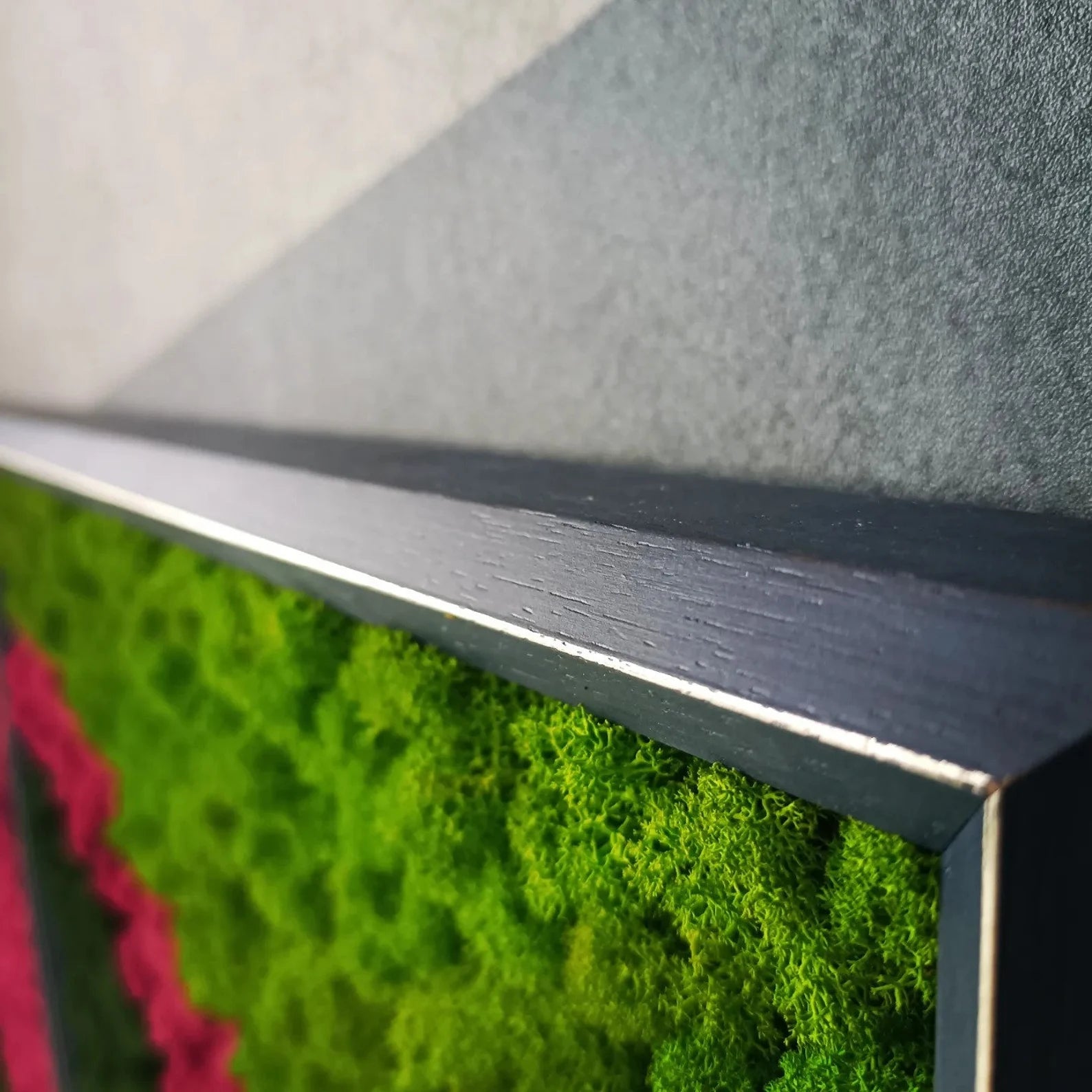 Colorful Two-Part Moss Wall Art – Framed Scandinavian Moss Panel, Sound Absorber & Acoustic Solution for Modern Home Decor