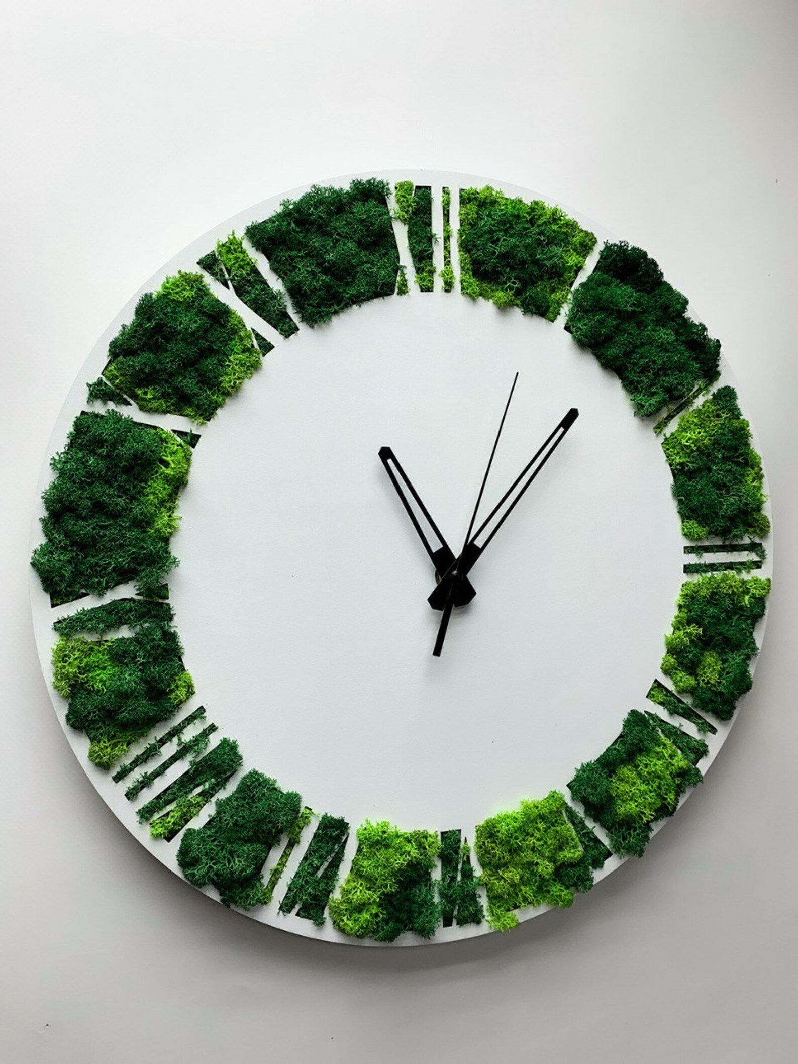 White Wooden Moss Wall Clock – Silent Botanical Wall Décor for Modern Eco Homes