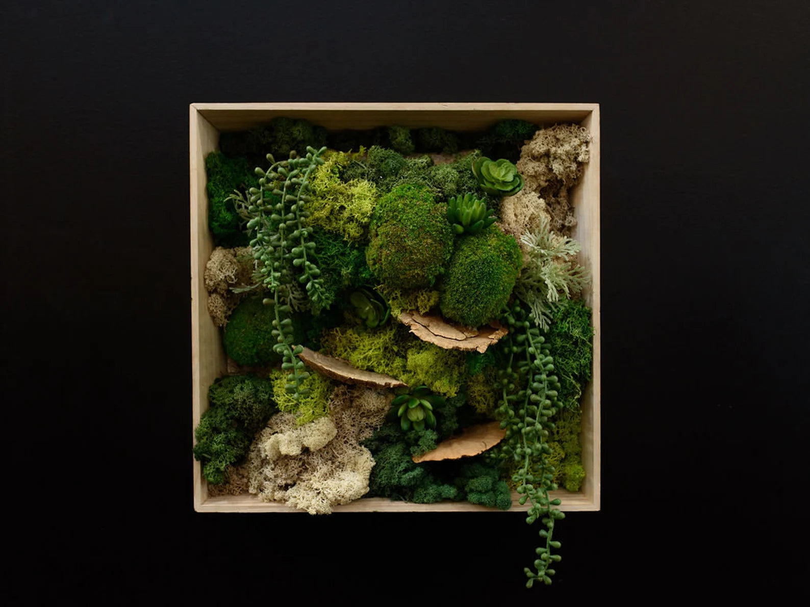 Moss Wall Art – Handmade Preserved Green Wall Decor, Anniversary Gift