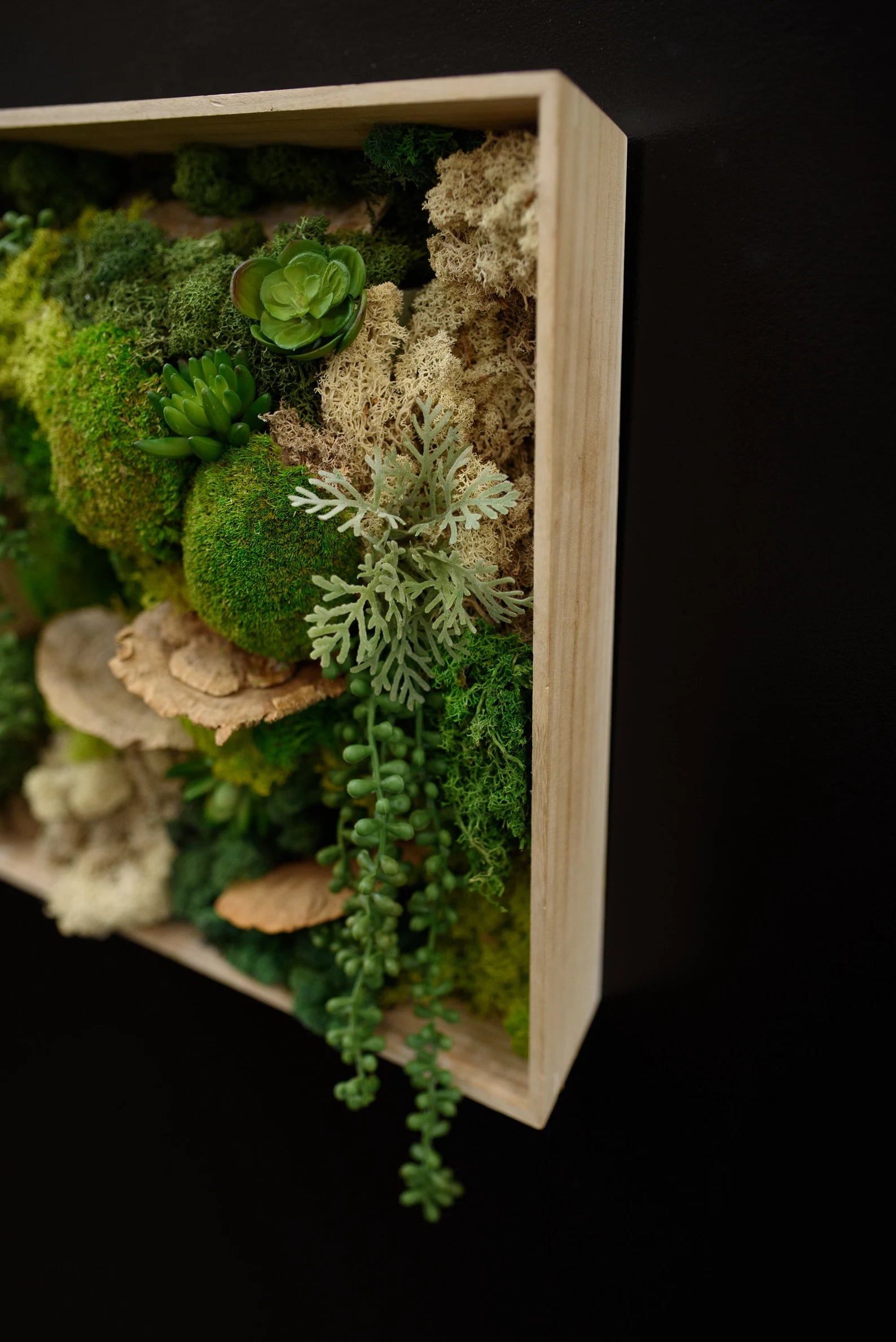 Moss Wall Art – Handmade Preserved Green Wall Decor, Anniversary Gift