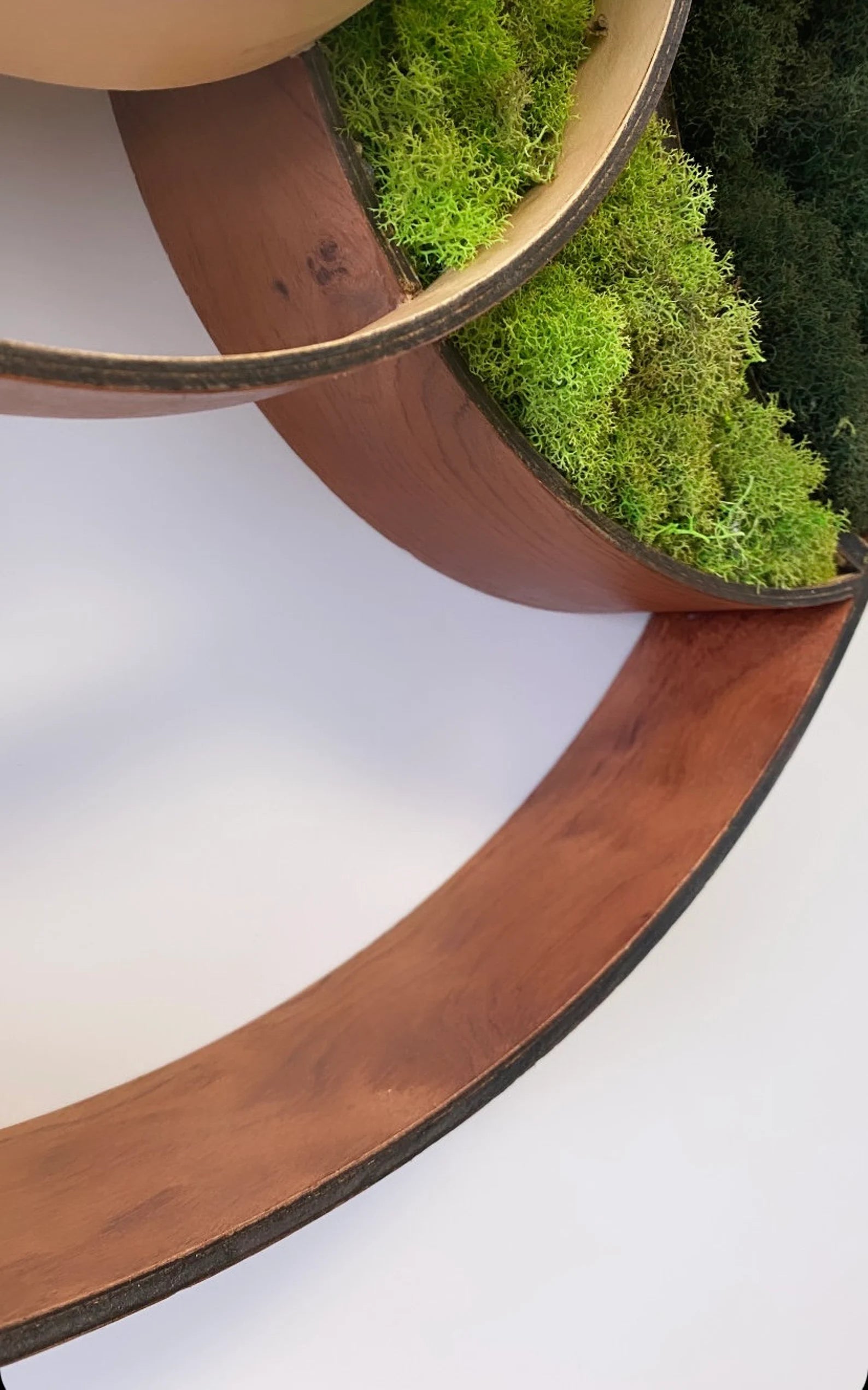 Bubinga Wood Moss Mirror – 24” Eclipse Wall Art for Modern Home Decor