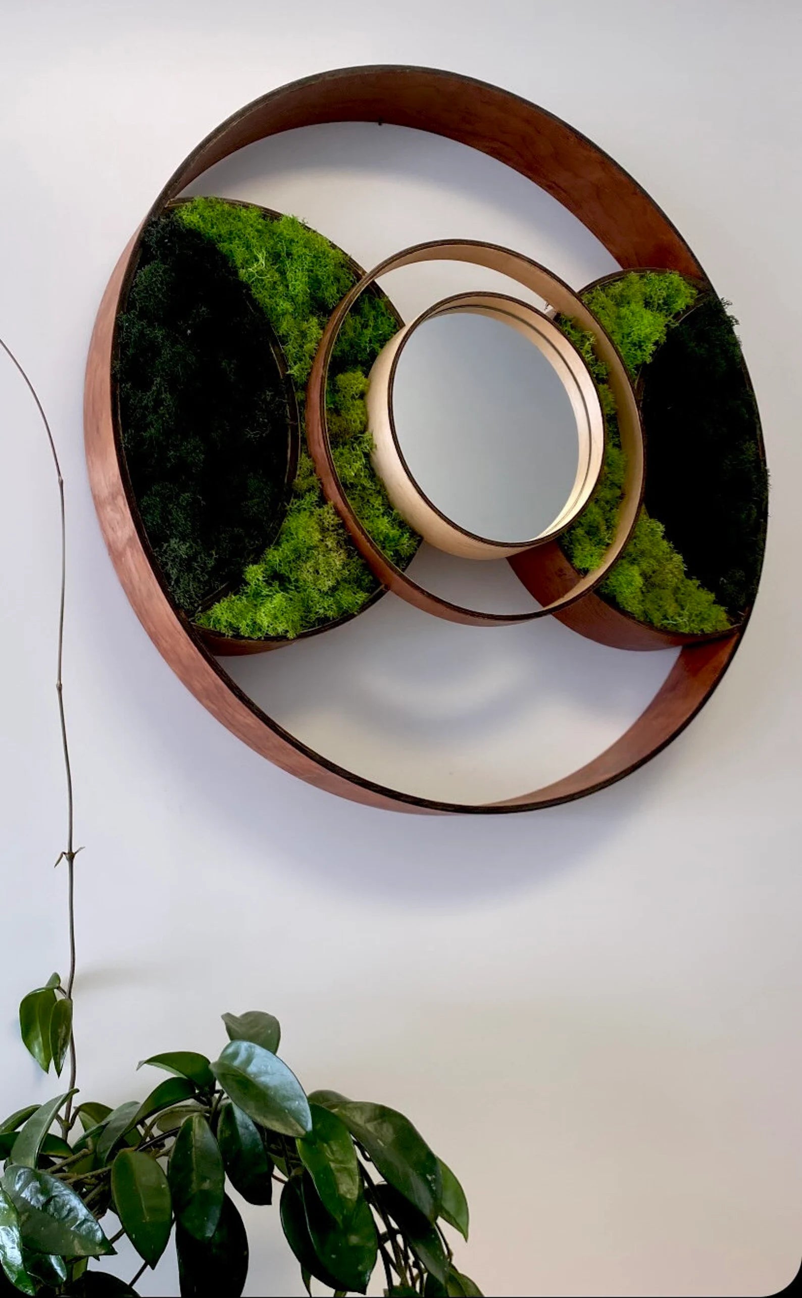 Bubinga Wood Moss Mirror – 24” Eclipse Wall Art for Modern Home Decor