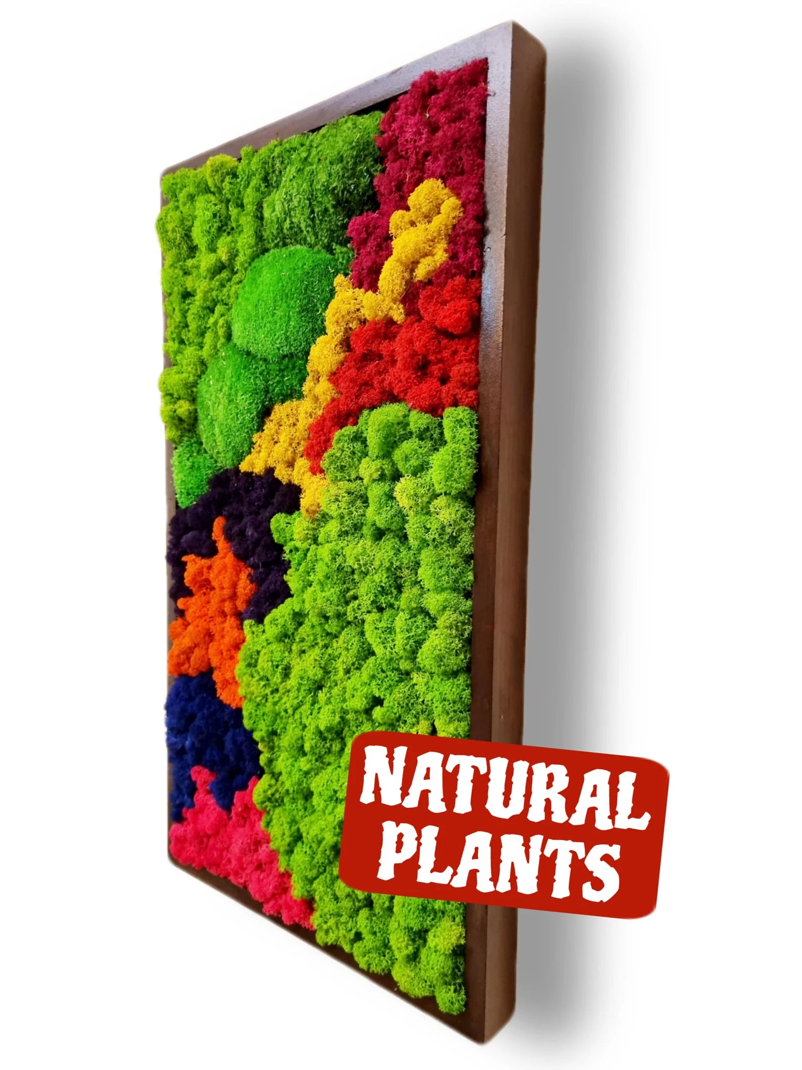 Moss Wall Art – Preserved Moss Frame – Green Wall Nature Room Decor