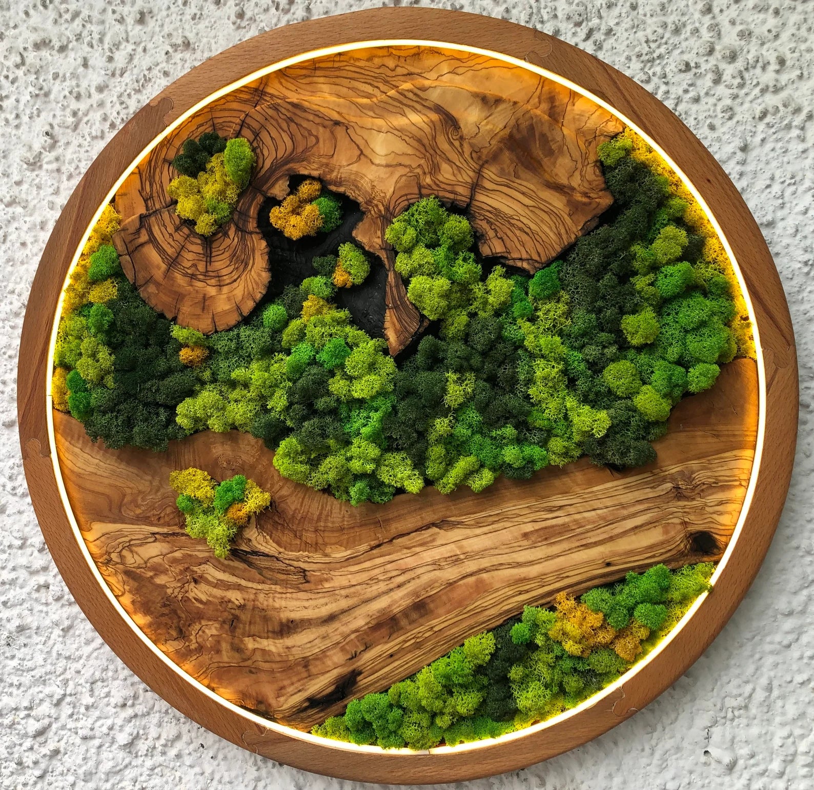 Vivid Green Circular Moss Wall Art – Preserved Moss with LED Lights, Framed Organic Home Décor