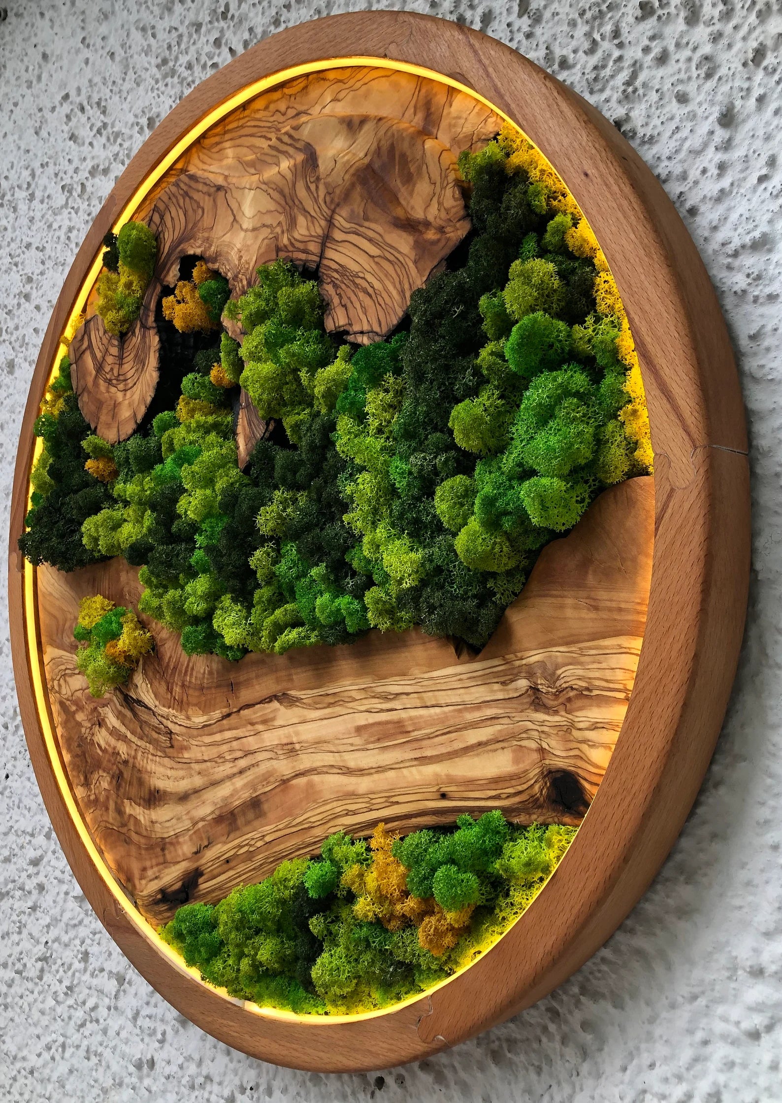 Vivid Green Circular Moss Wall Art – Preserved Moss with LED Lights, Framed Organic Home Décor