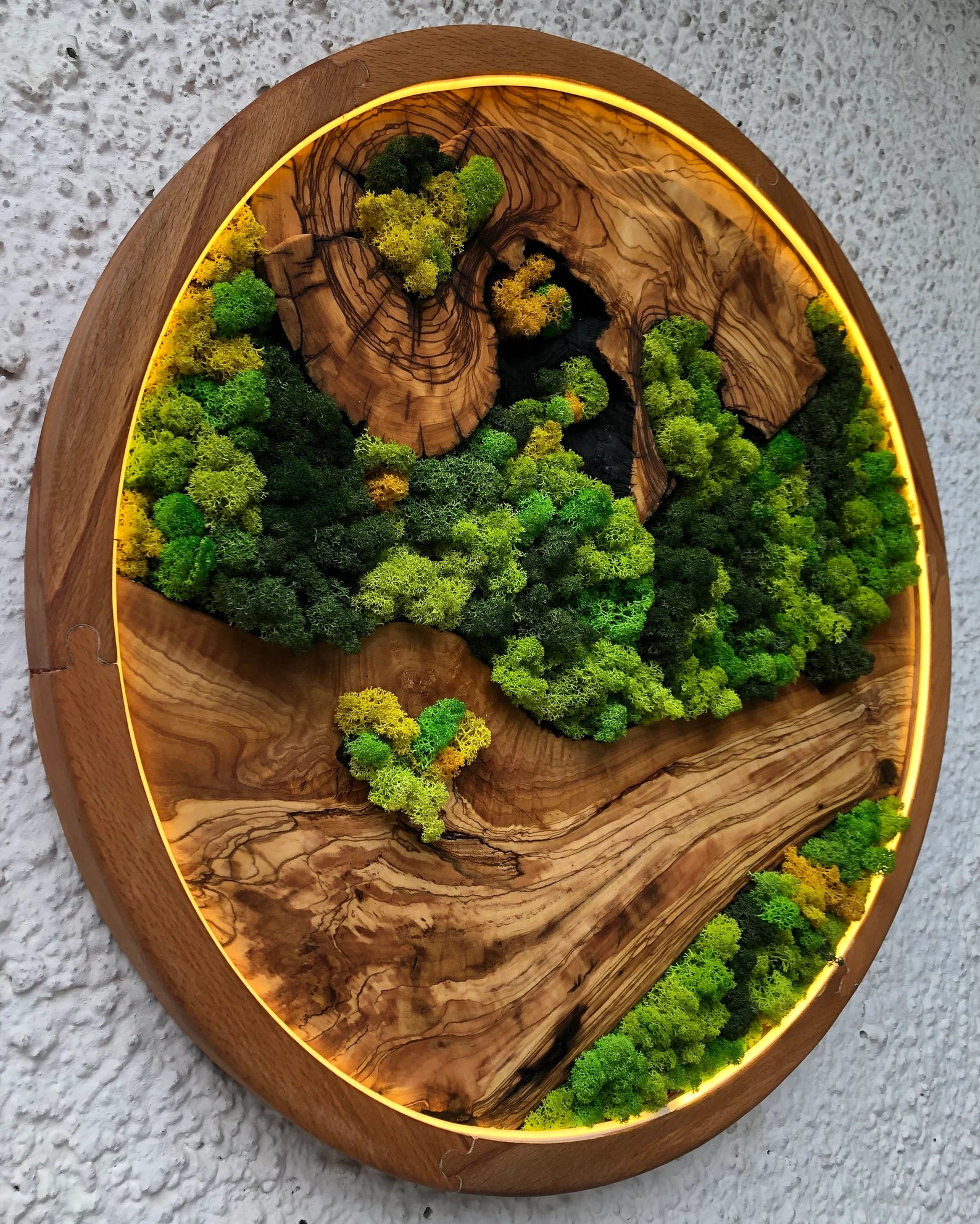 Vivid Green Circular Moss Wall Art – Preserved Moss with LED Lights, Framed Organic Home Décor