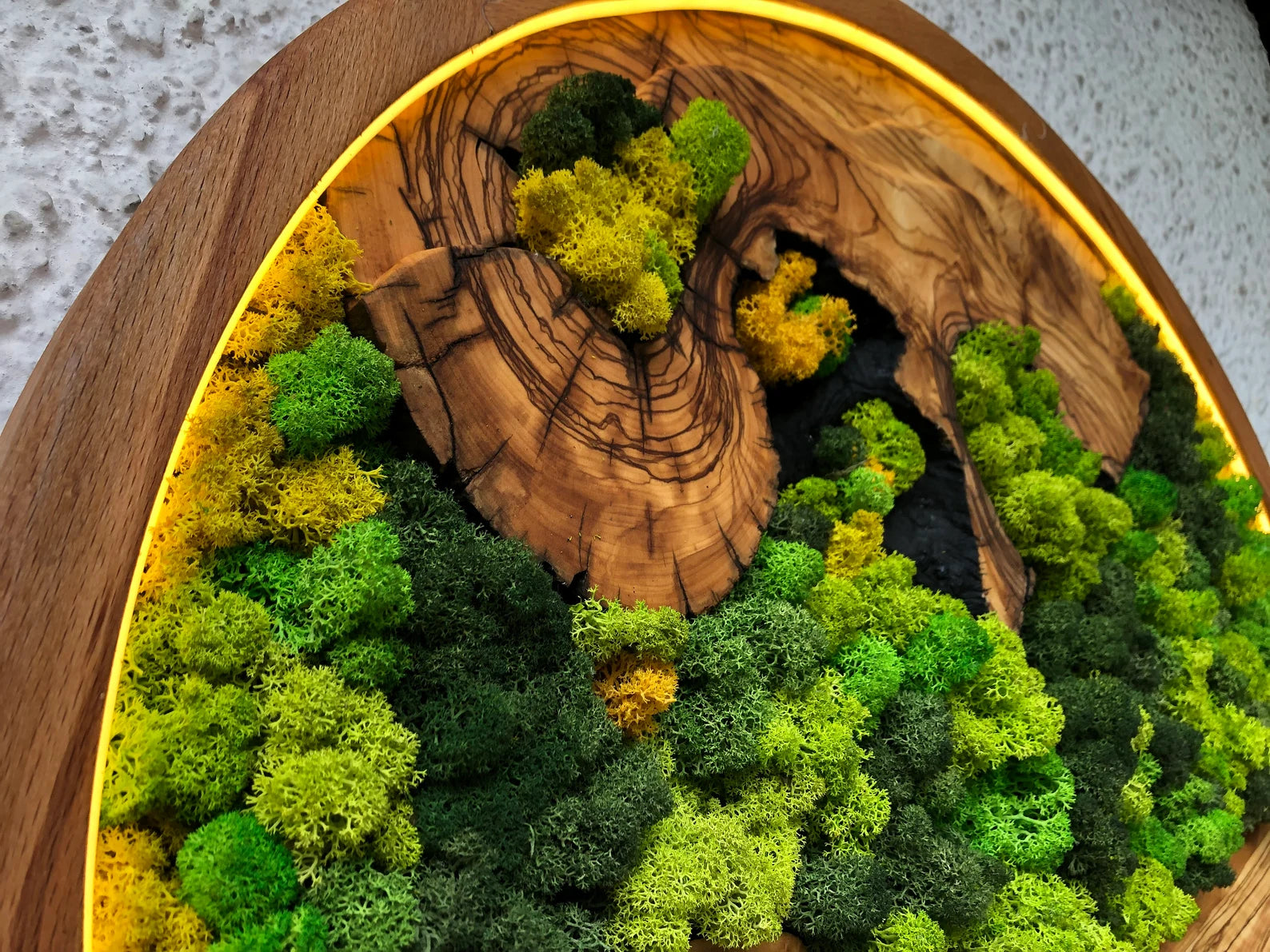 Vivid Green Circular Moss Wall Art – Preserved Moss with LED Lights, Framed Organic Home Décor