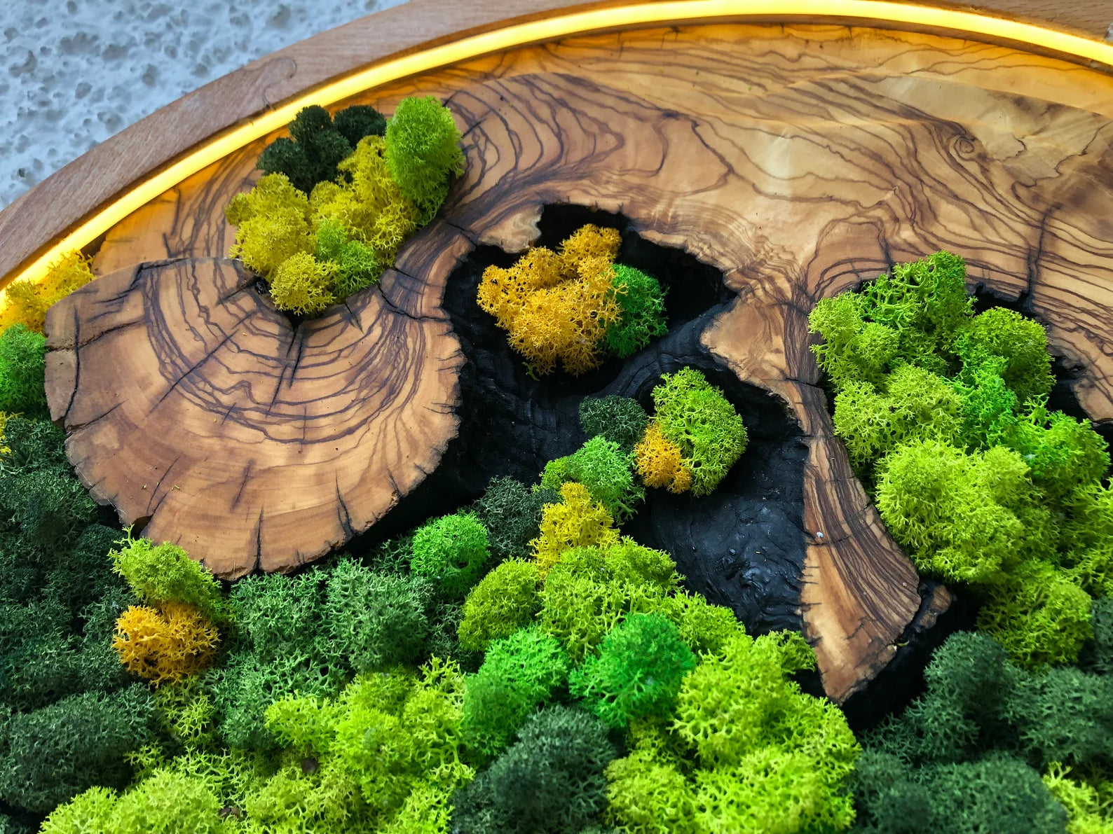 Vivid Green Circular Moss Wall Art – Preserved Moss with LED Lights, Framed Organic Home Décor