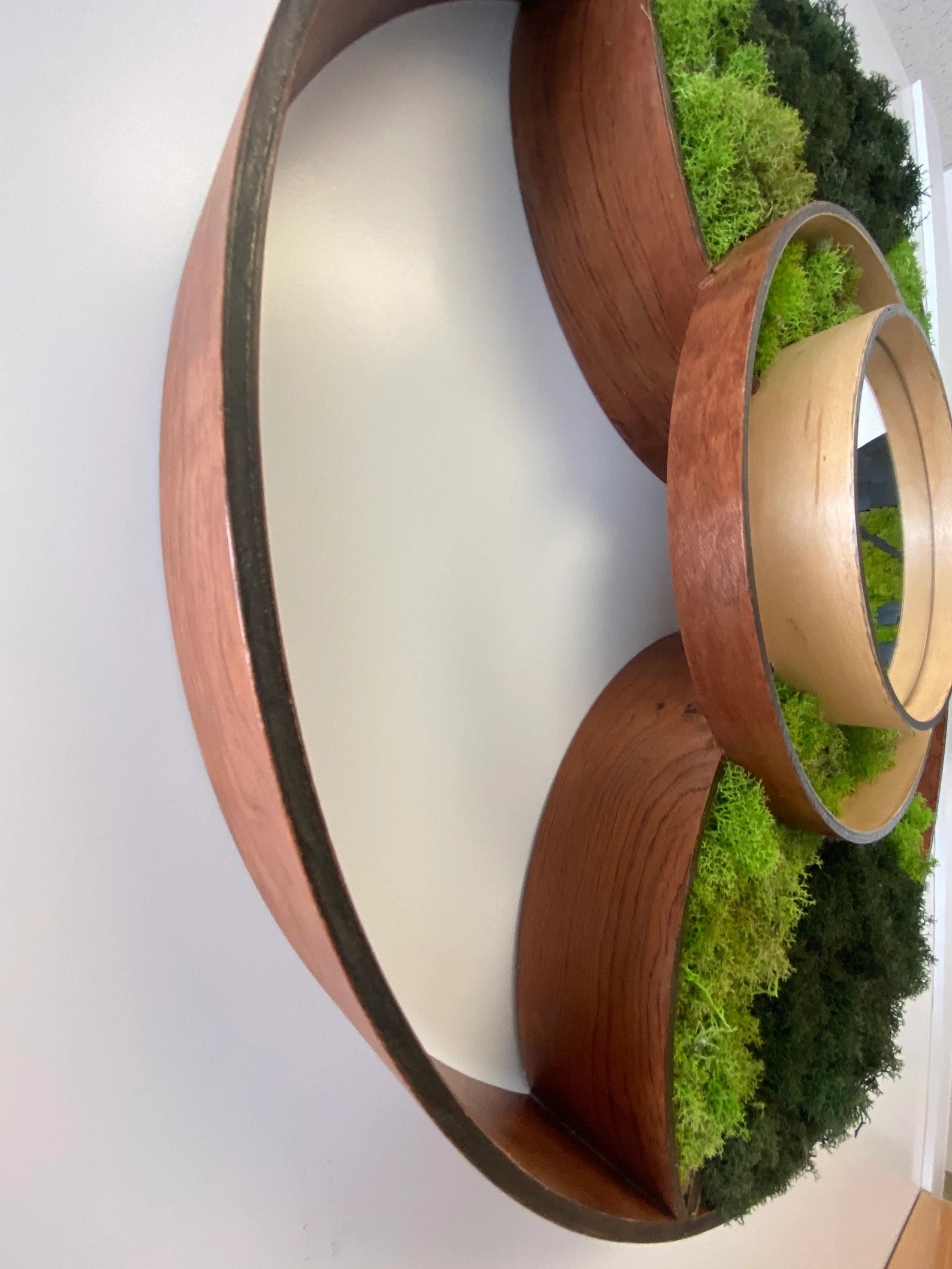 Bubinga Wood Moss Mirror – 24” Eclipse Wall Art for Modern Home Decor