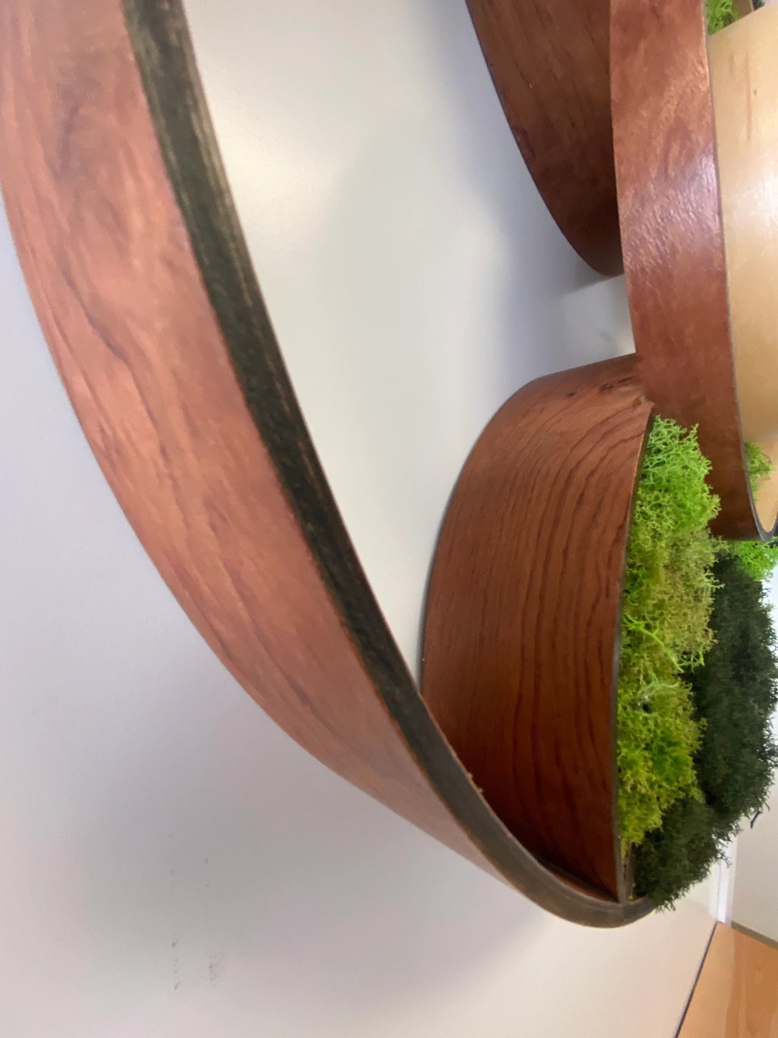 Bubinga Wood Moss Mirror – 24” Eclipse Wall Art for Modern Home Decor
