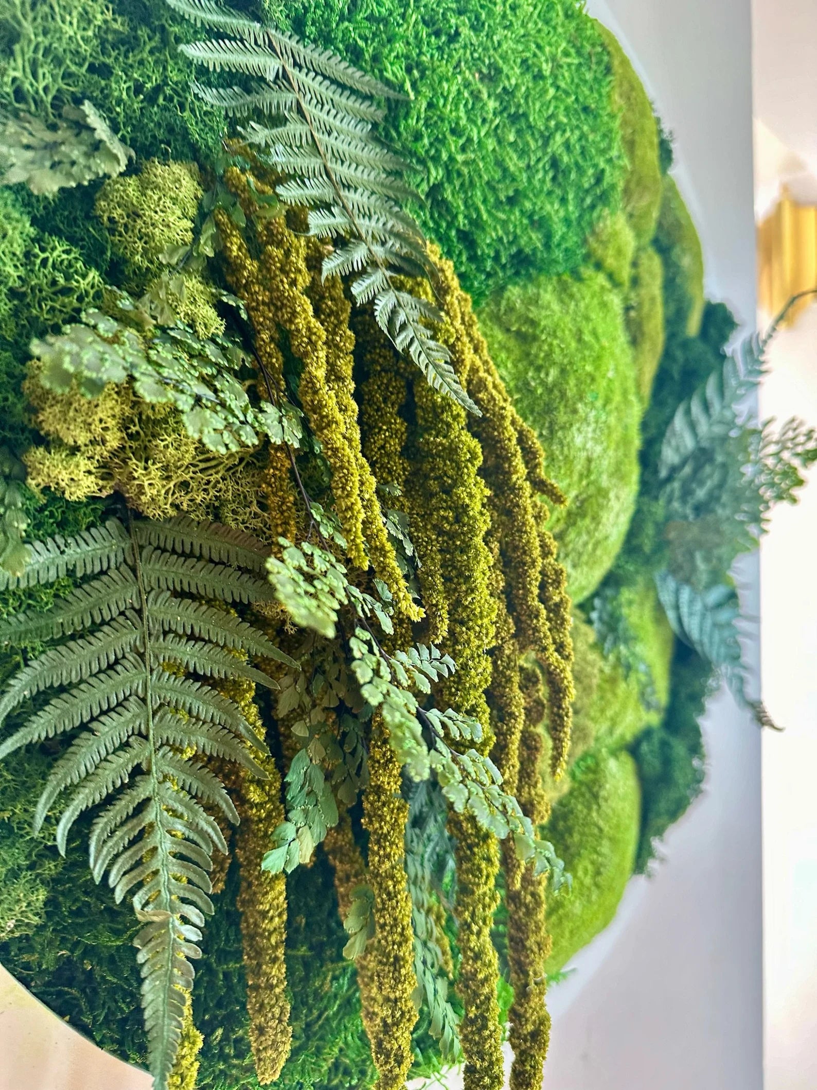 Round Moss Wall Art – 20" Circle Frame with Preserved Reindeer & Sheet Moss