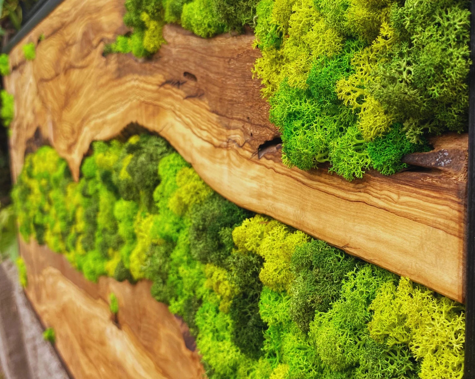 Moss Wall Art – Preserved Moss Hanging with Live Edge Olive Wood Frame for Living Room Decor