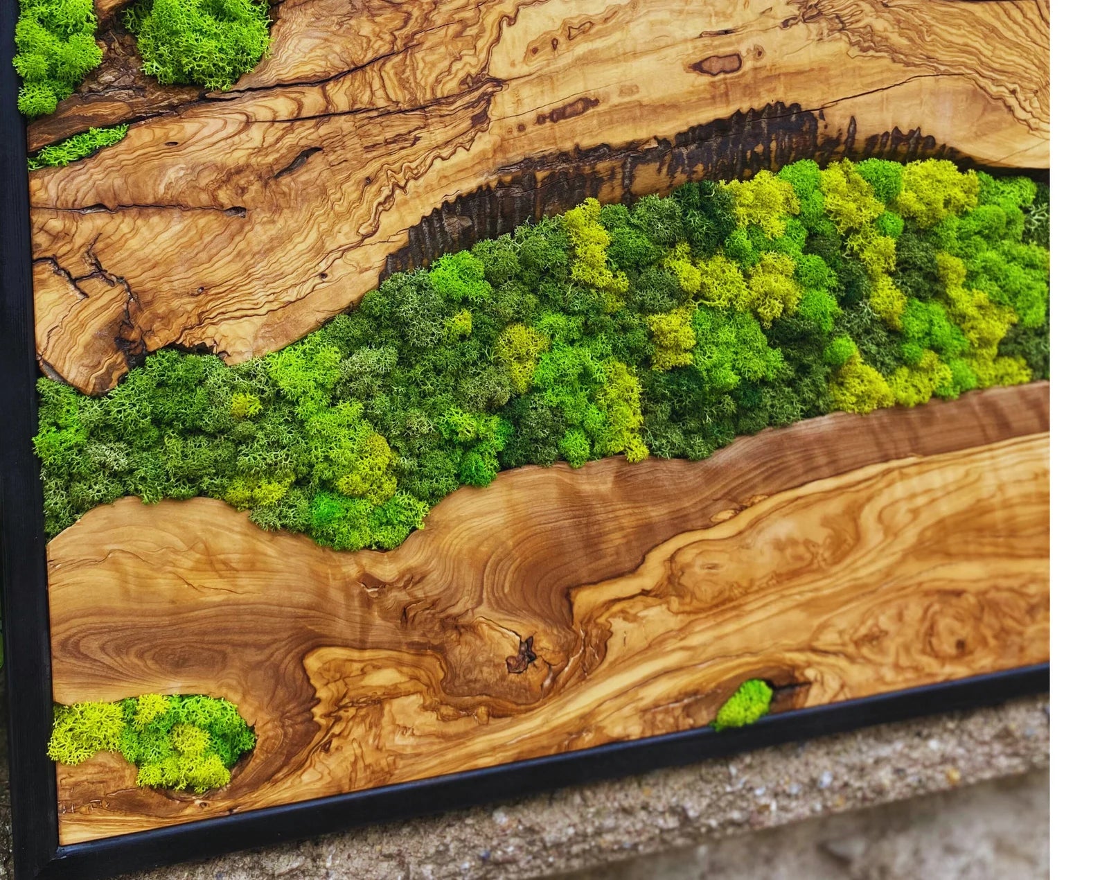 Moss Wall Art – Preserved Moss Hanging with Live Edge Olive Wood Frame for Living Room Decor