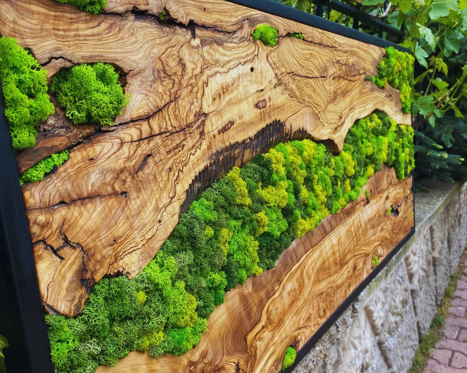 Moss Wall Art – Preserved Moss Hanging with Live Edge Olive Wood Frame for Living Room Decor