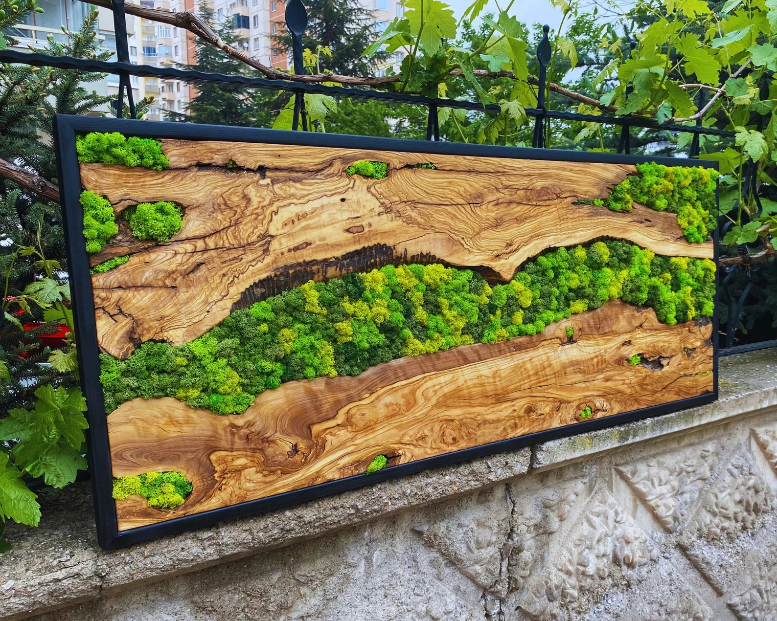 Moss Wall Art – Preserved Moss Hanging with Live Edge Olive Wood Frame for Living Room Decor