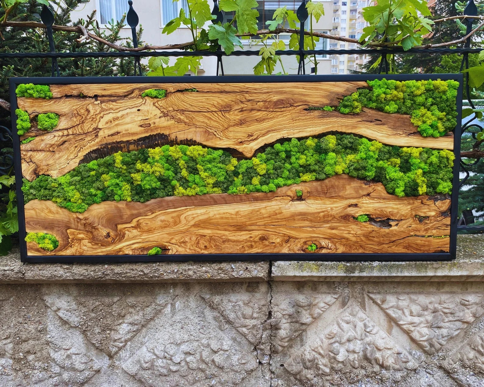 Moss Wall Art – Preserved Moss Hanging with Live Edge Olive Wood Frame for Living Room Decor