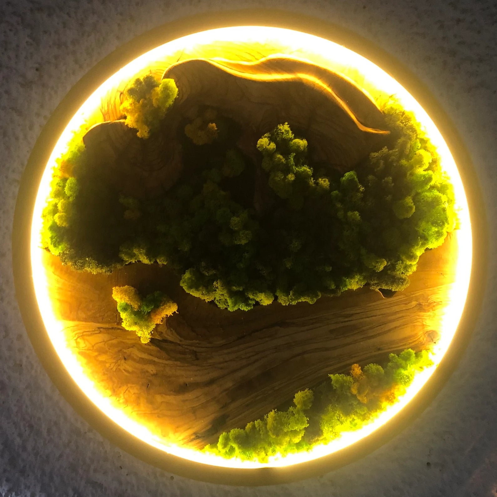 Vivid Green Circular Moss Wall Art – Preserved Moss with LED Lights, Framed Organic Home Décor