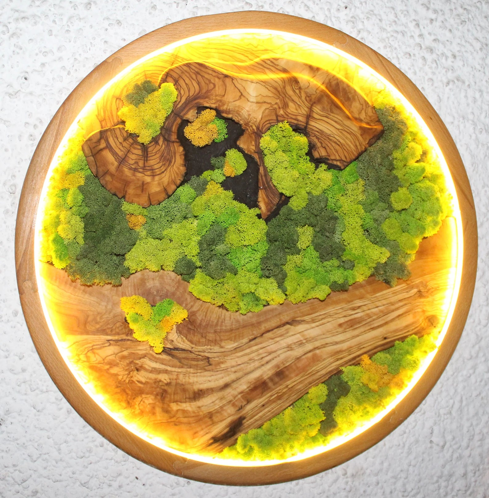 Vivid Green Circular Moss Wall Art – Preserved Moss with LED Lights, Framed Organic Home Décor