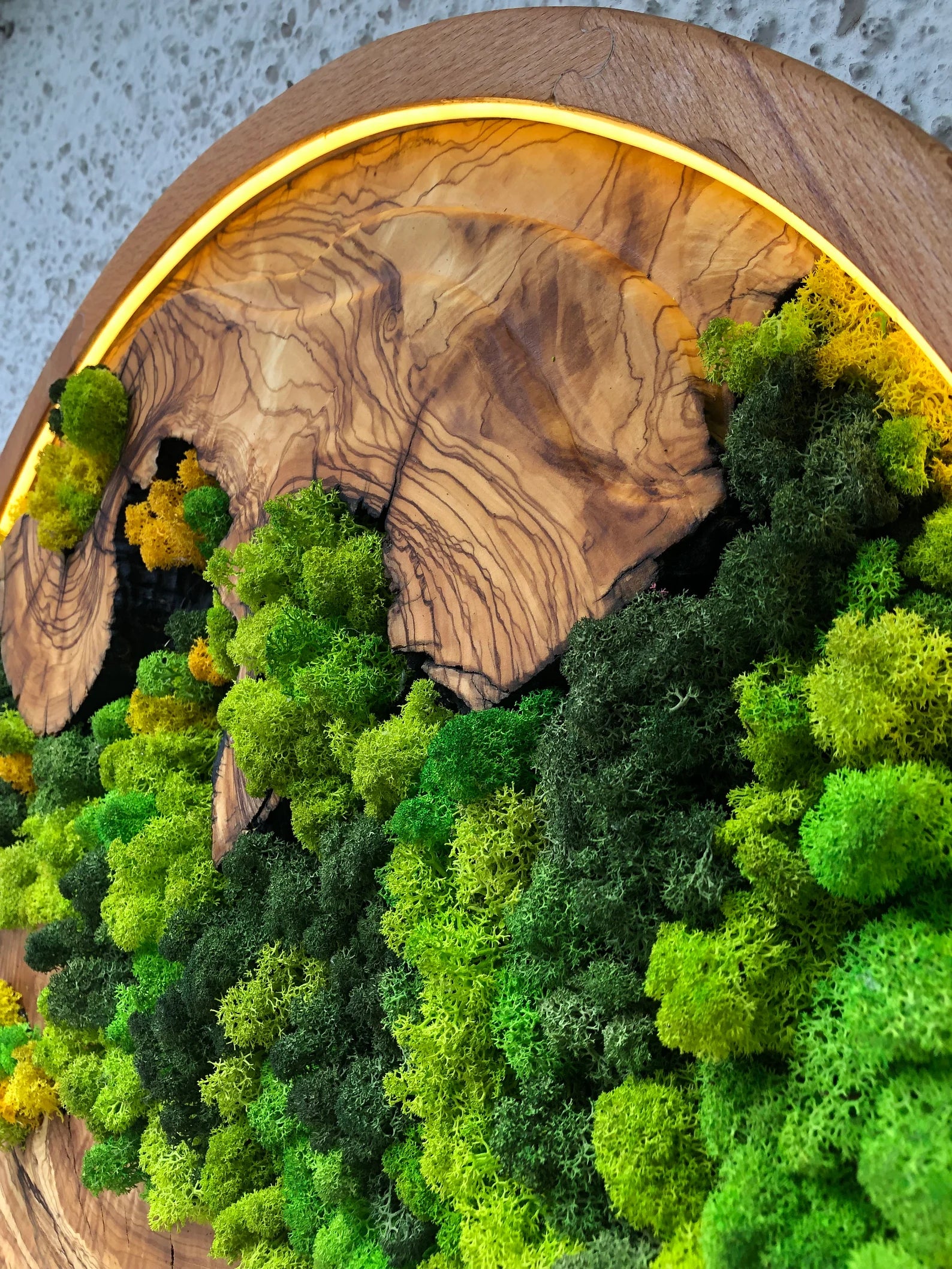 Vivid Green Circular Moss Wall Art – Preserved Moss with LED Lights, Framed Organic Home Décor
