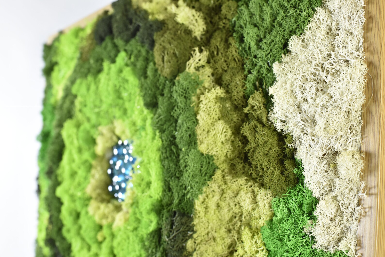 Lake Moss Wall Art – Handcrafted Nature-Themed Home Decor