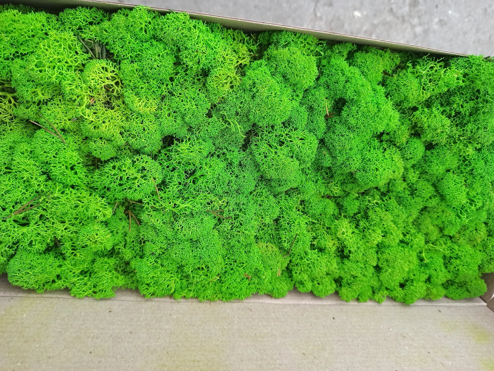 Moss Tree of Life Wall Art with Birds – Unique Moss Wall Decor – 5th Anniversary Gift – Housewarming Bedroom Living Room Decoration