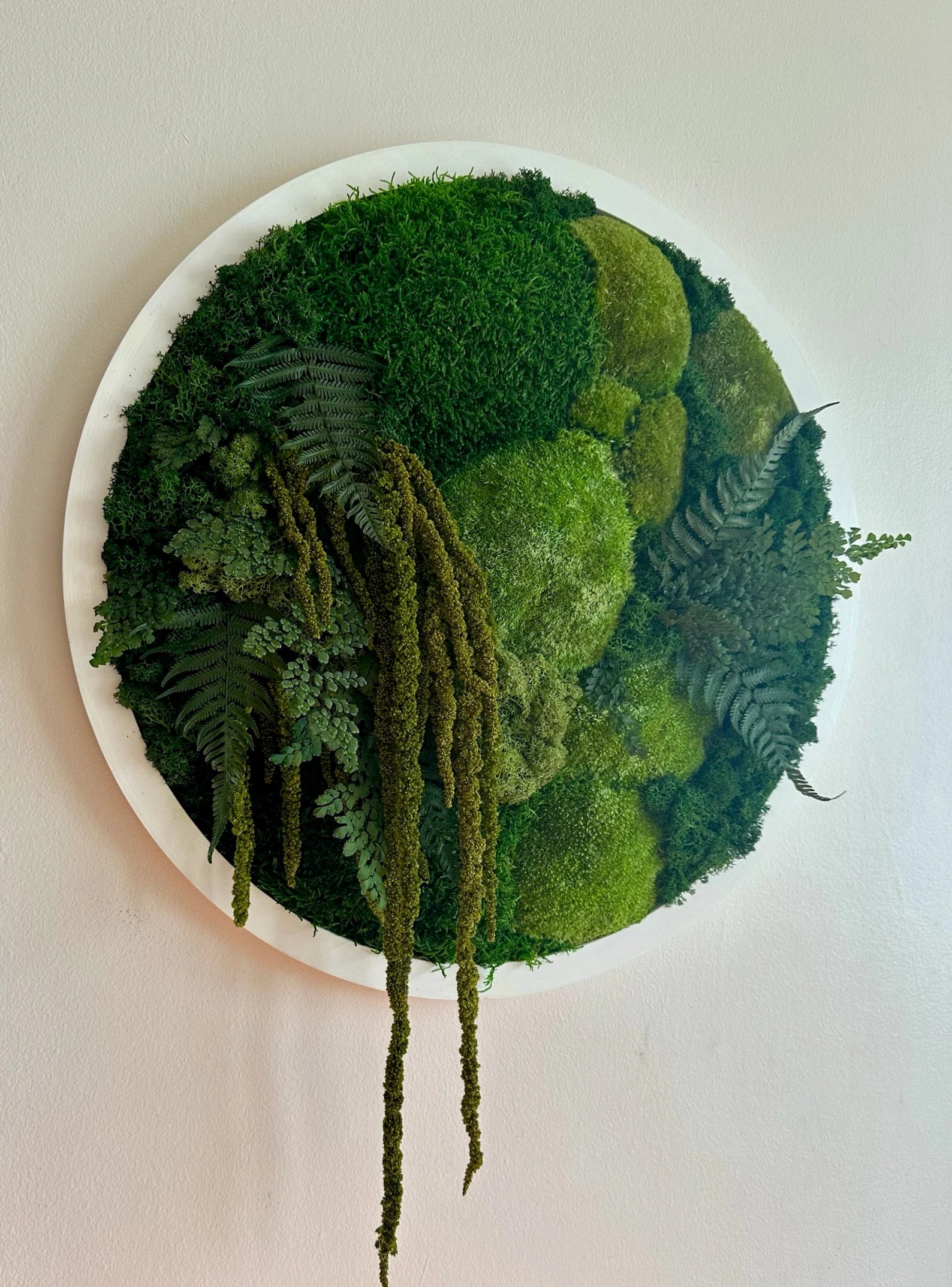 Round Moss Wall Art – 20" Circle Frame with Preserved Reindeer & Sheet Moss
