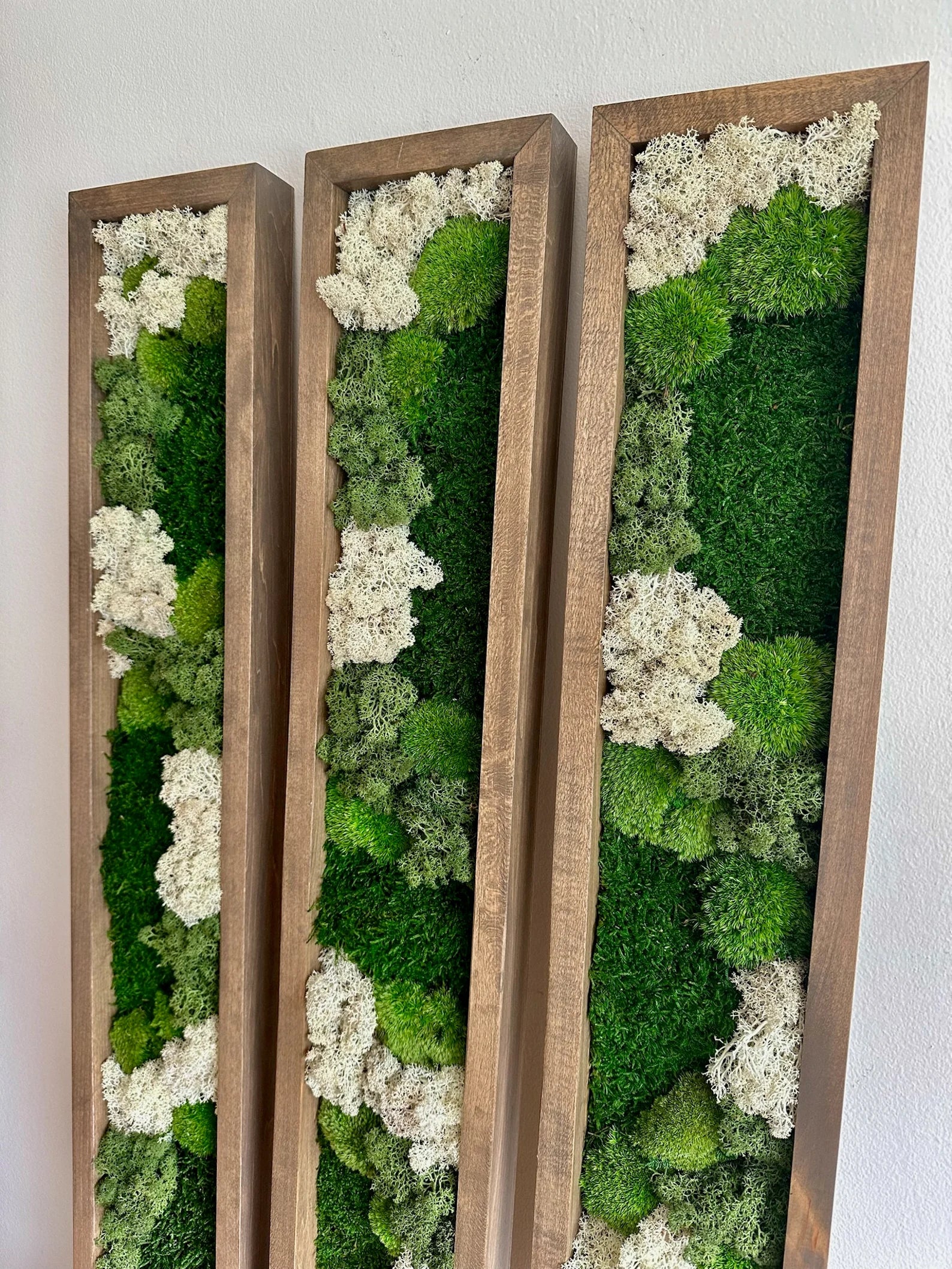 Moss Wall Art – Preserved Green Reindeer & Sheet Moss in Large Rectangle Wood Frame, Single or Four-Panel Set
