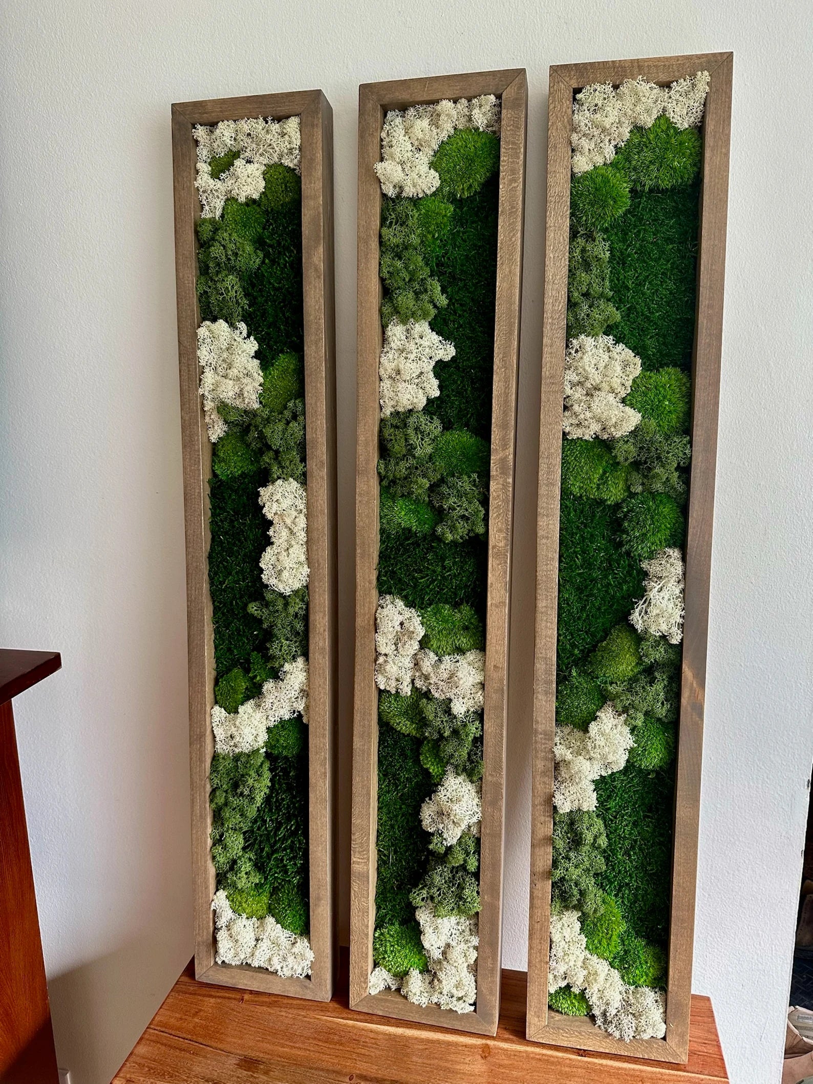 Moss Wall Art – Preserved Green Reindeer & Sheet Moss in Large Rectangle Wood Frame, Single or Four-Panel Set