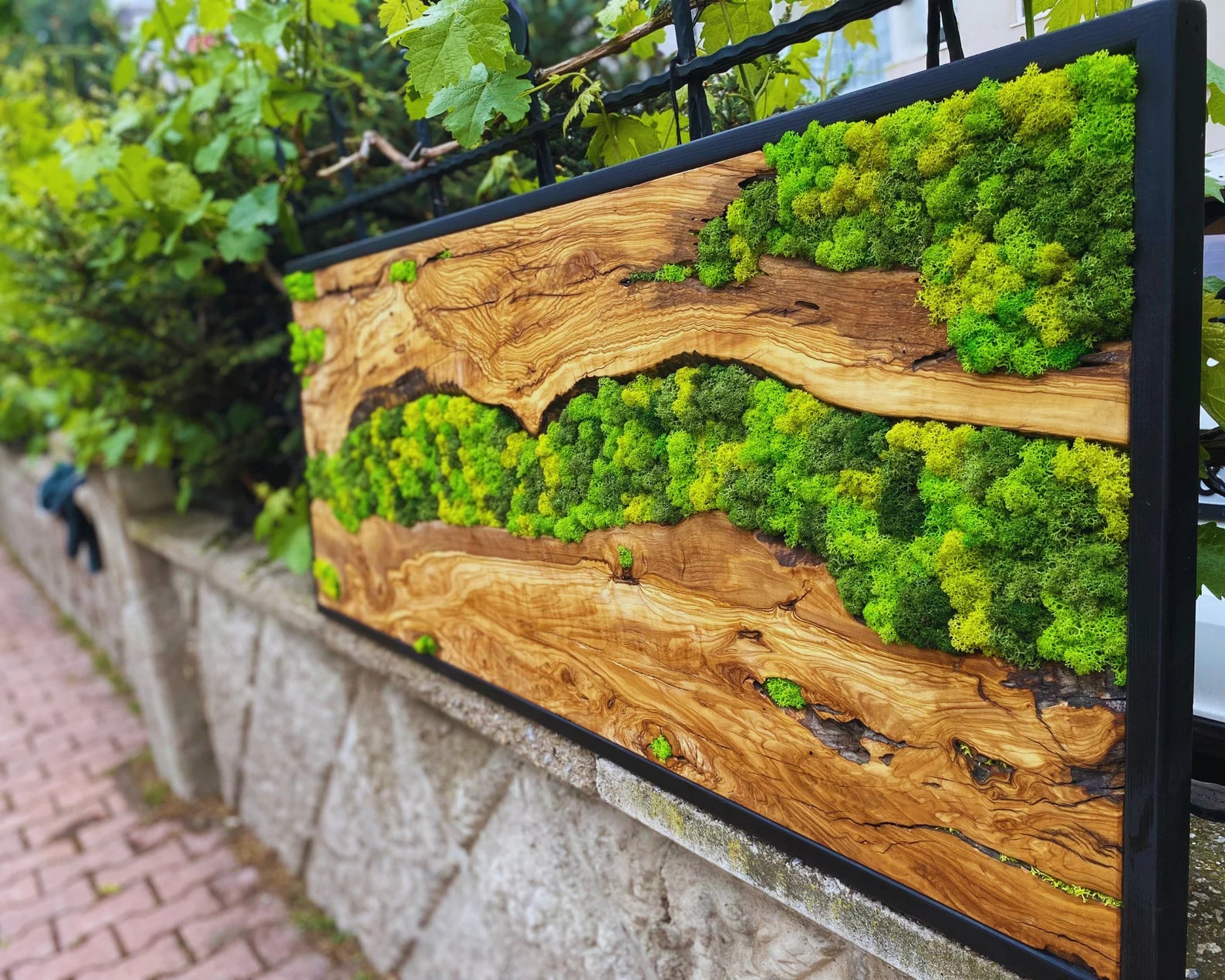 Moss Wall Art – Preserved Moss Hanging with Live Edge Olive Wood Frame for Living Room Decor