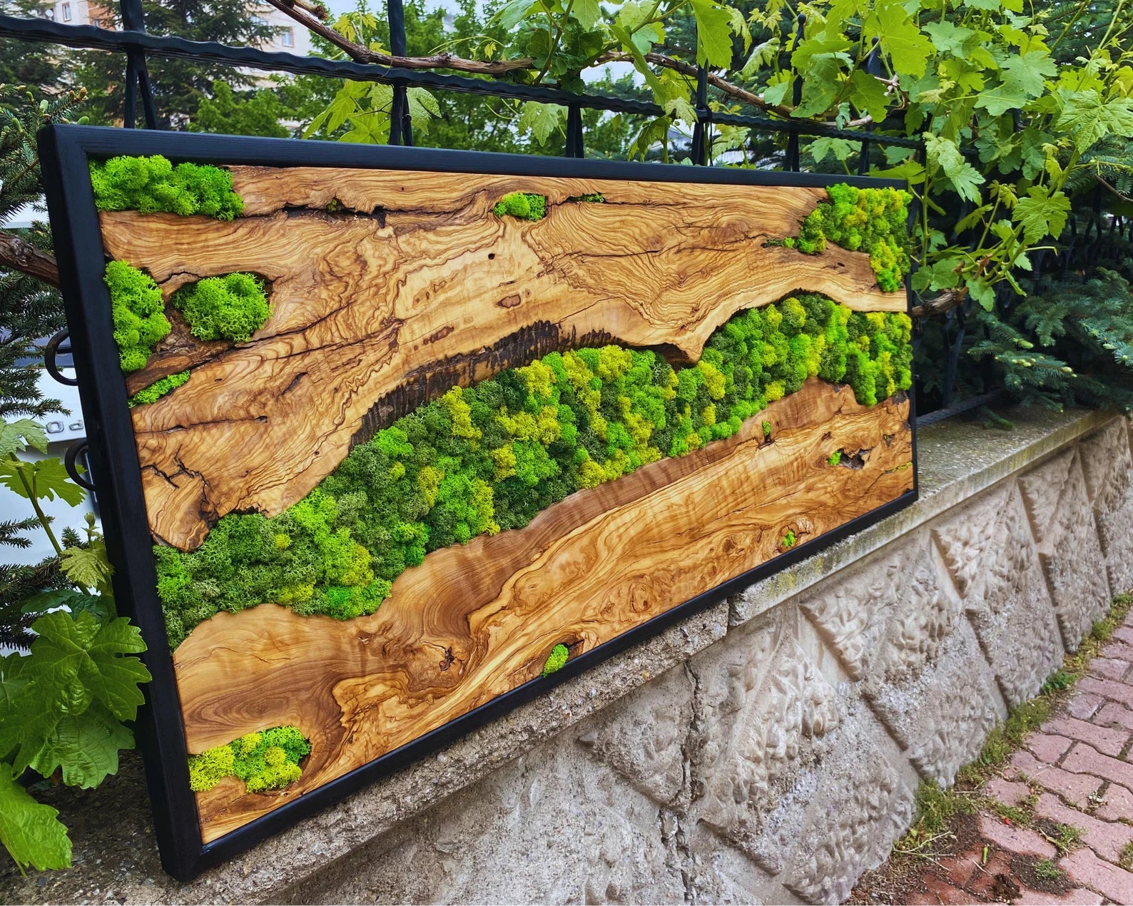 Moss Wall Art – Preserved Moss Hanging with Live Edge Olive Wood Frame for Living Room Decor
