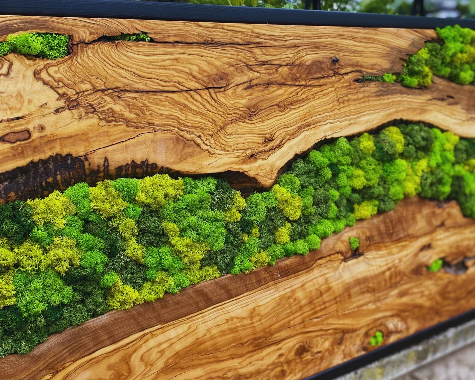 Moss Wall Art – Preserved Moss Hanging with Live Edge Olive Wood Frame for Living Room Decor