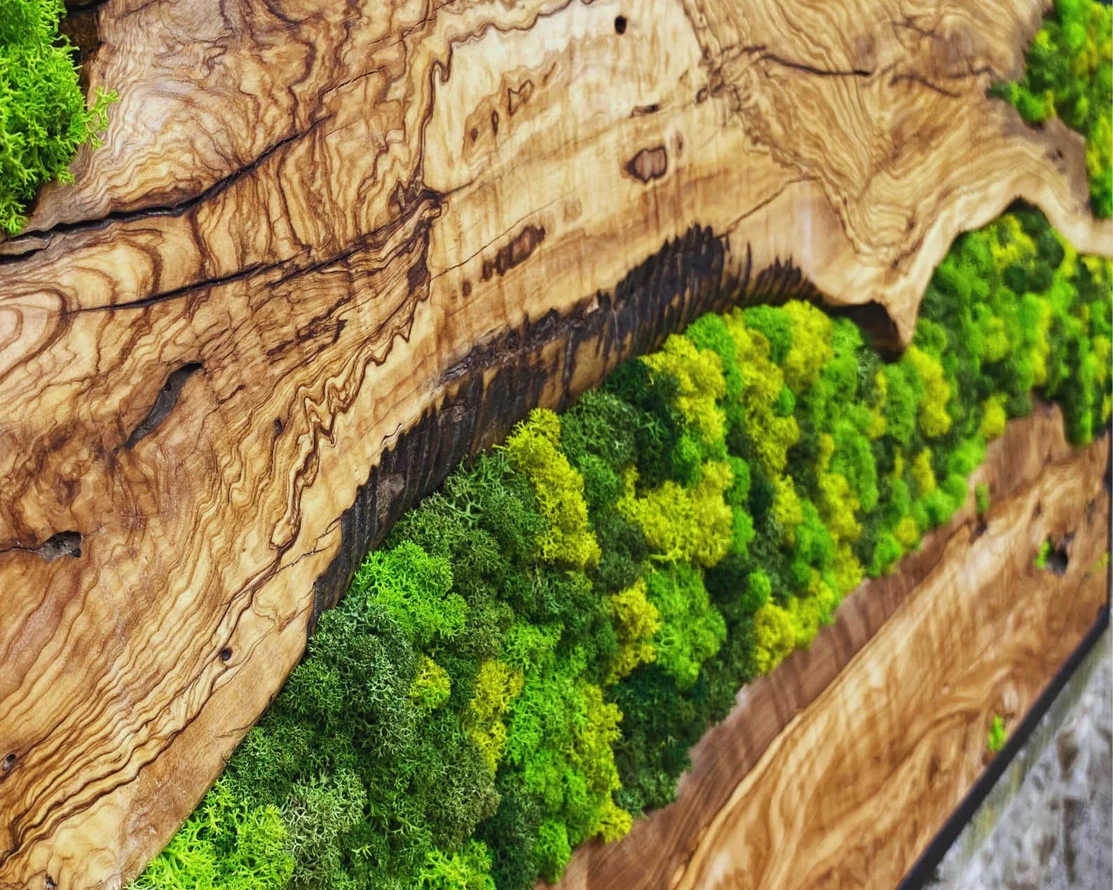 Moss Wall Art – Preserved Moss Hanging with Live Edge Olive Wood Frame for Living Room Decor