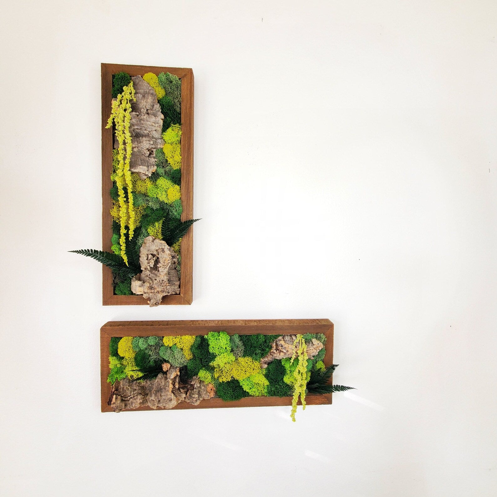 Green Moss Wall Art – Preserved Botanical Rectangle Frame Set