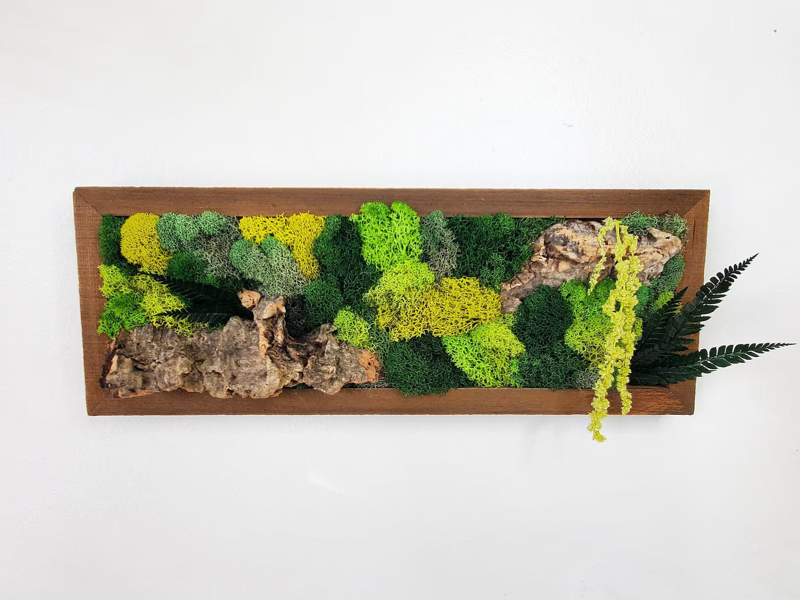 Green Moss Wall Art – Preserved Botanical Rectangle Frame Set