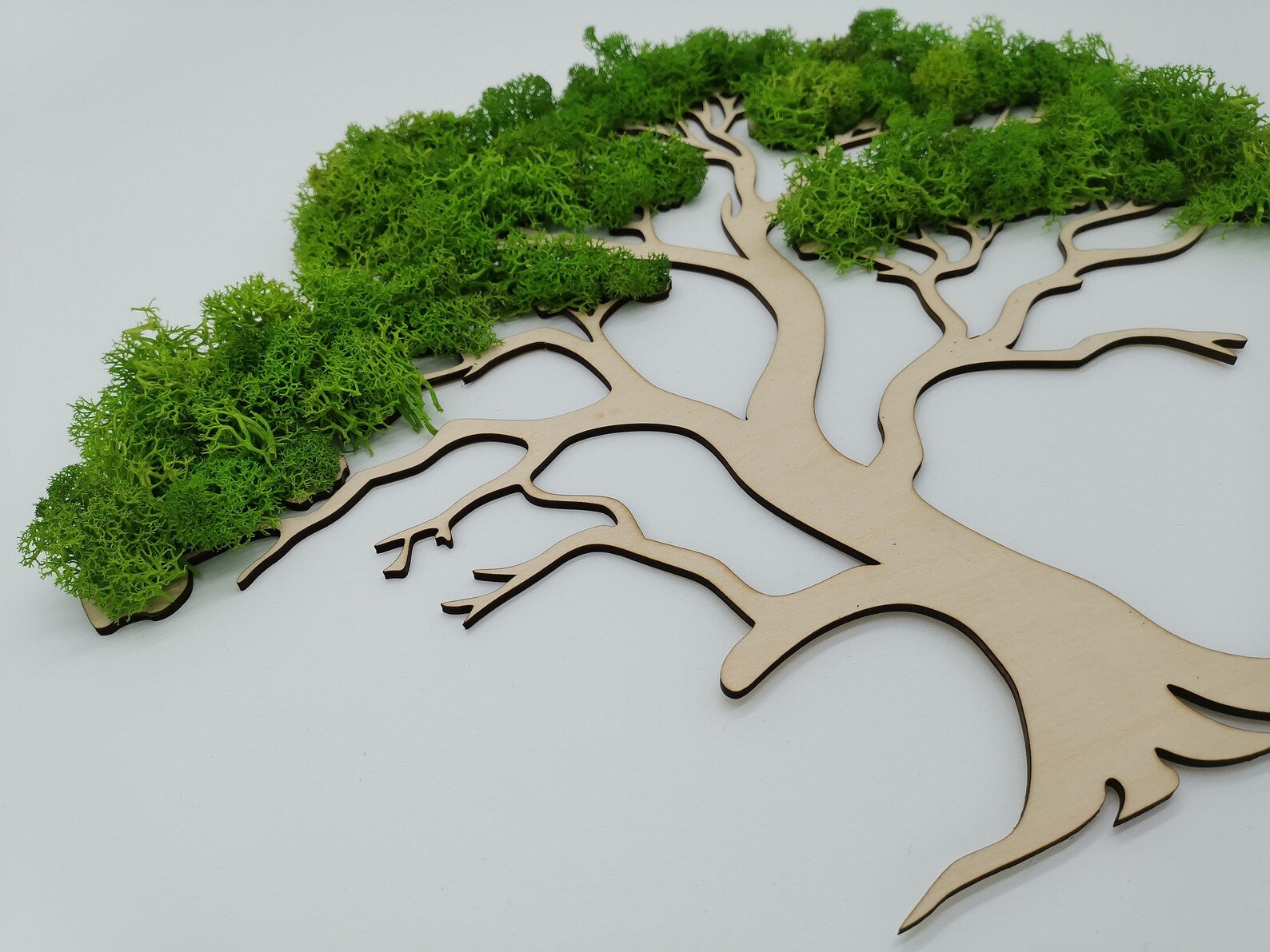 African Tree Moss Wall Art – Wooden Mural with Preserved Moss