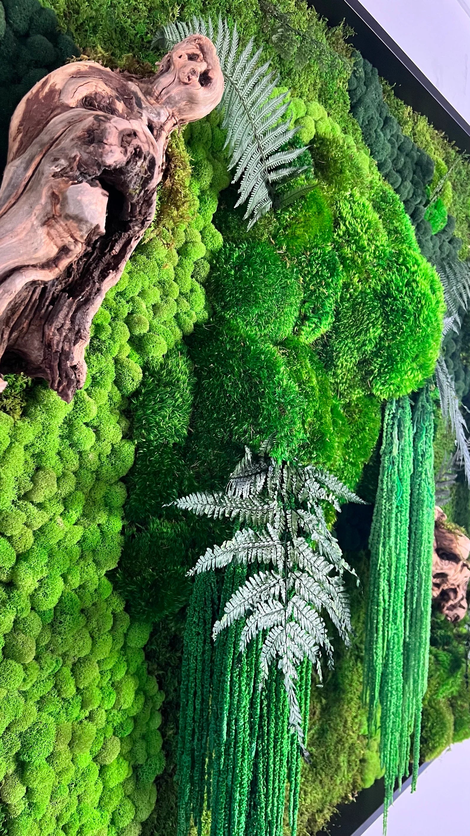 The Forgotten Forest – Preserved Moss Wall Art with Grapewood & Amaranths
