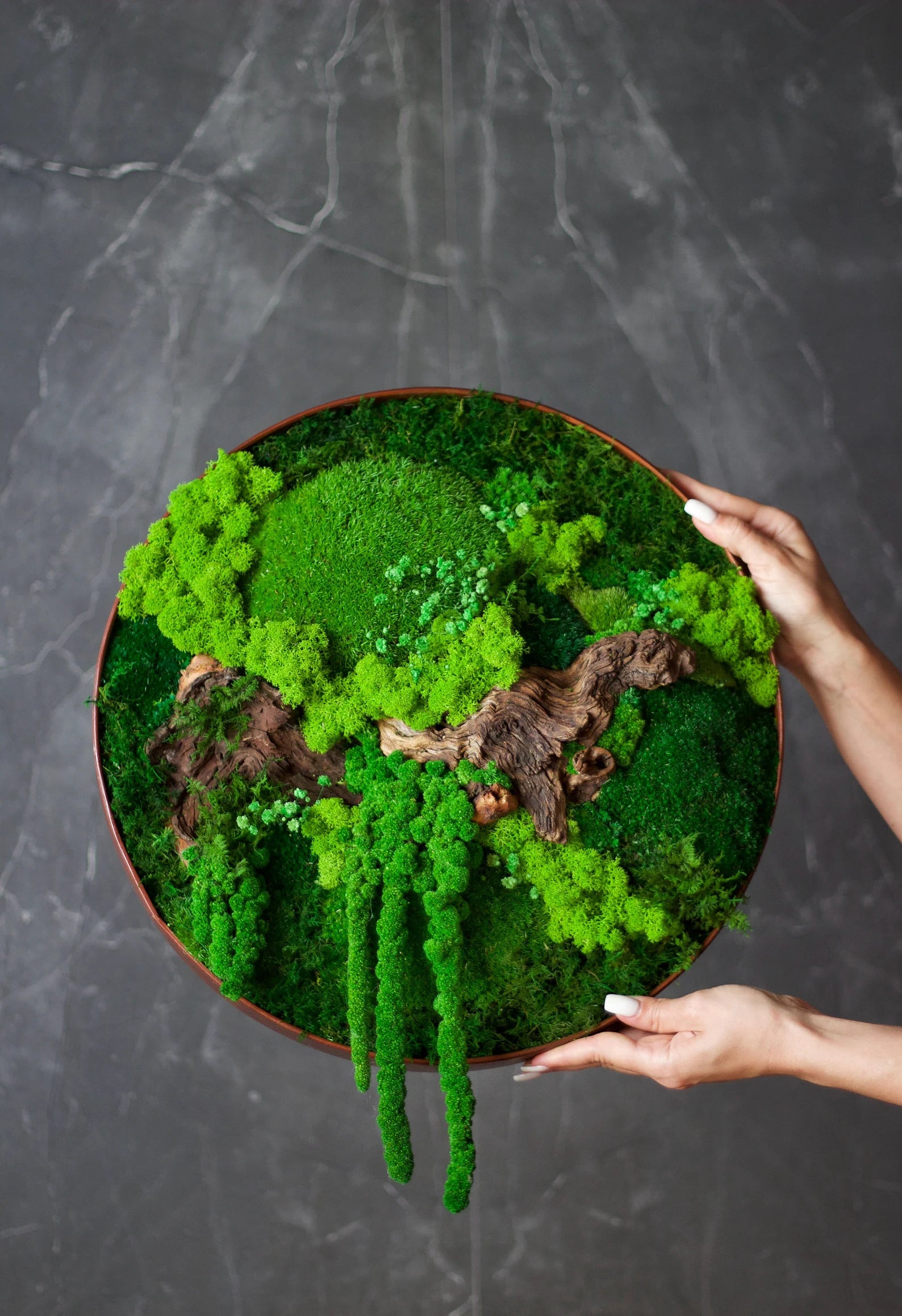 Circle Moss Wall Art – Handmade Wooden Wall Decor for Home & Office