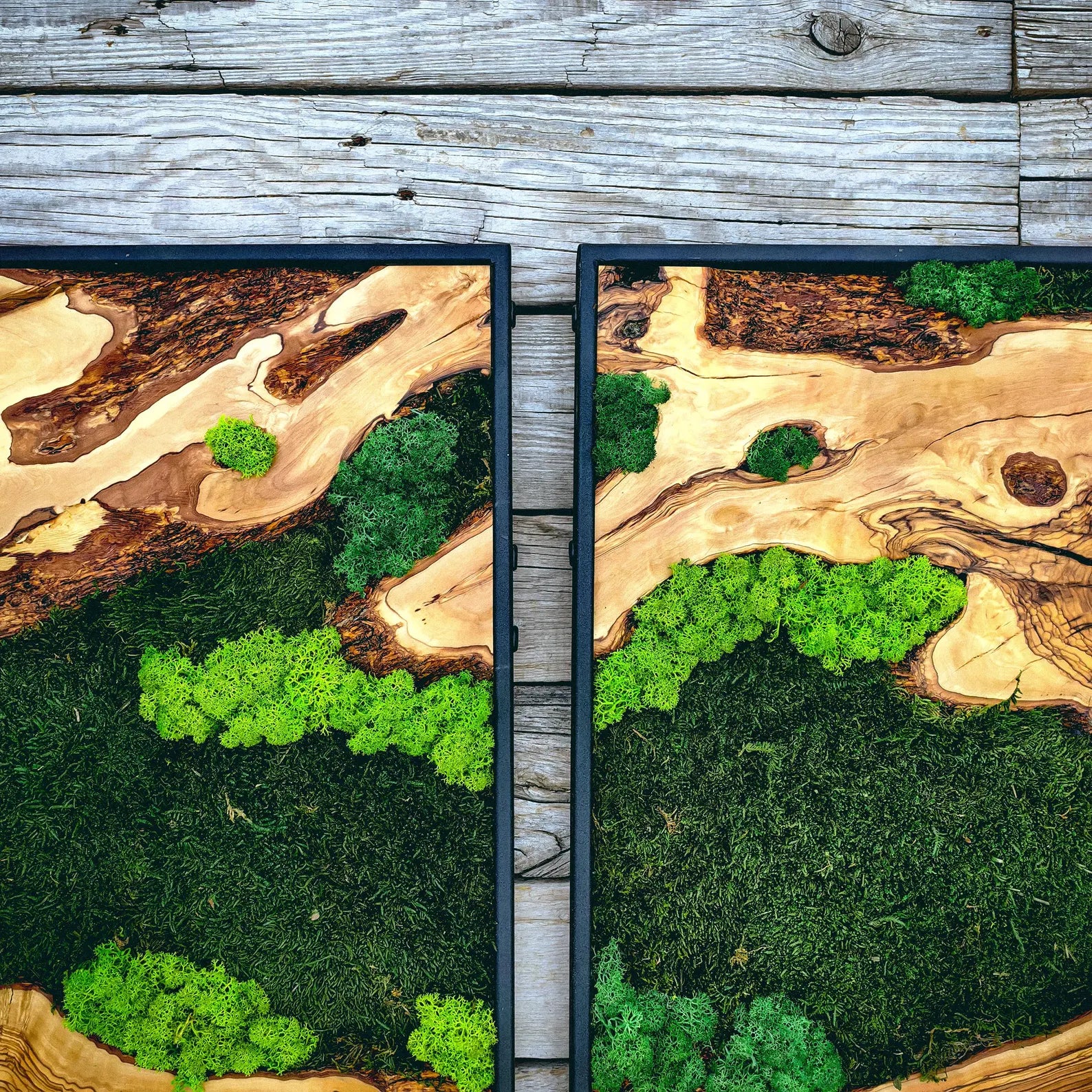 Moss Wall Art – Handmade Wood Frame Preserved Moss Wall Decor for Home or Office